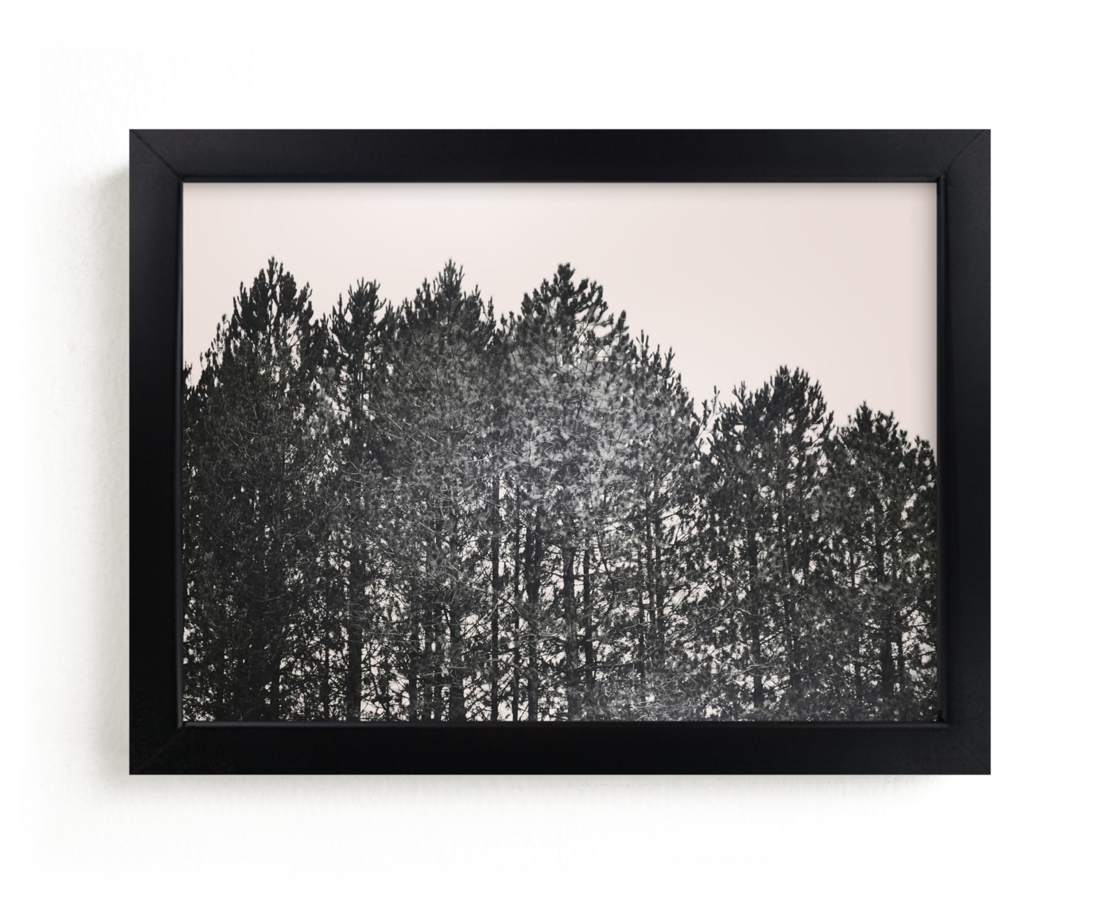 "Pines" - Limited Edition Art Print by Katie Short in beautiful frame options and a variety of sizes.