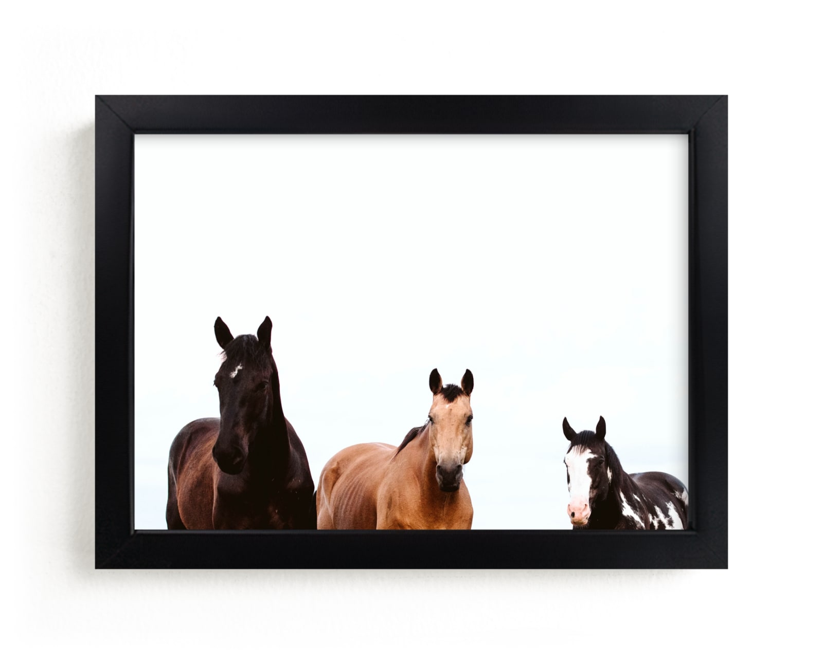 "The Three Amigos" - Limited Edition Art Print by Amy Carroll in beautiful frame options and a variety of sizes.