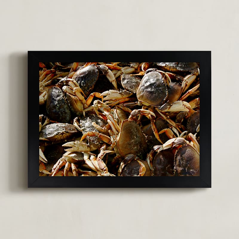 Crab Catcher