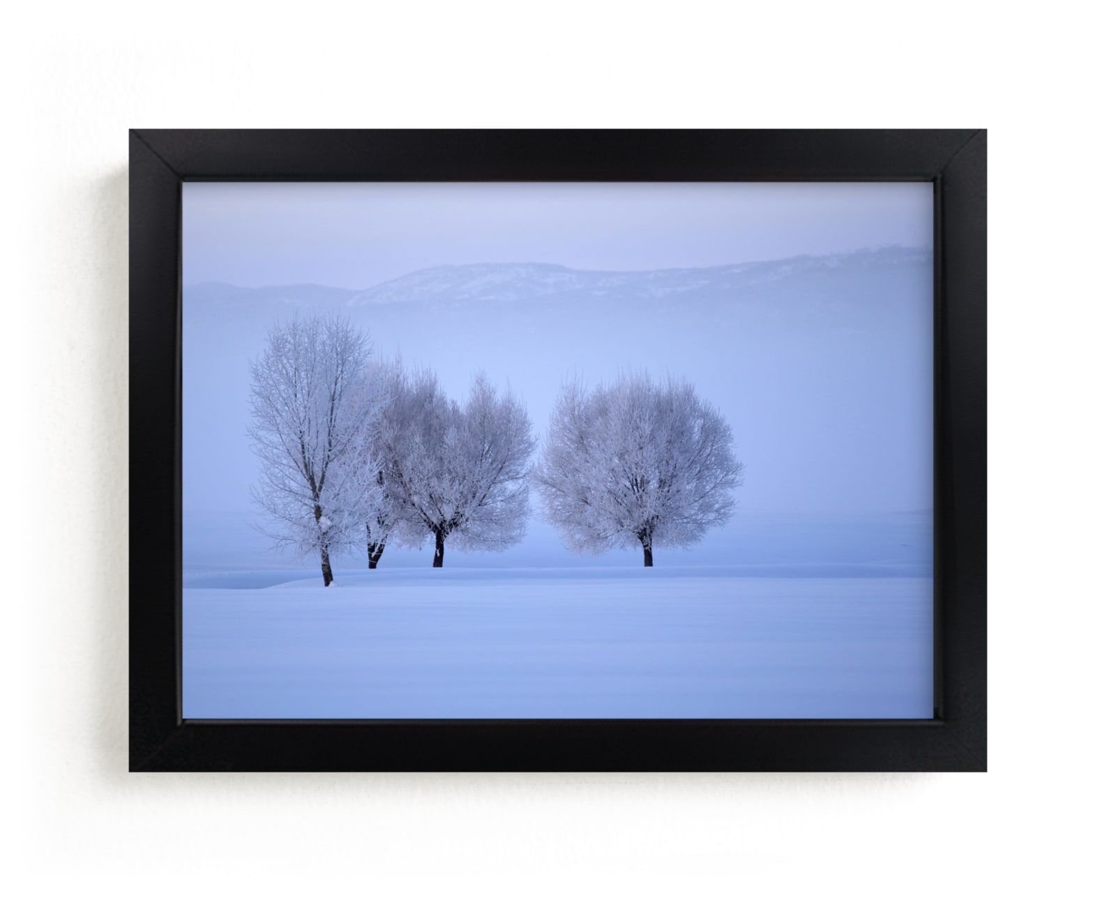 "Morning's Light" - Art Print by Leslie Le Coq in beautiful frame options and a variety of sizes.