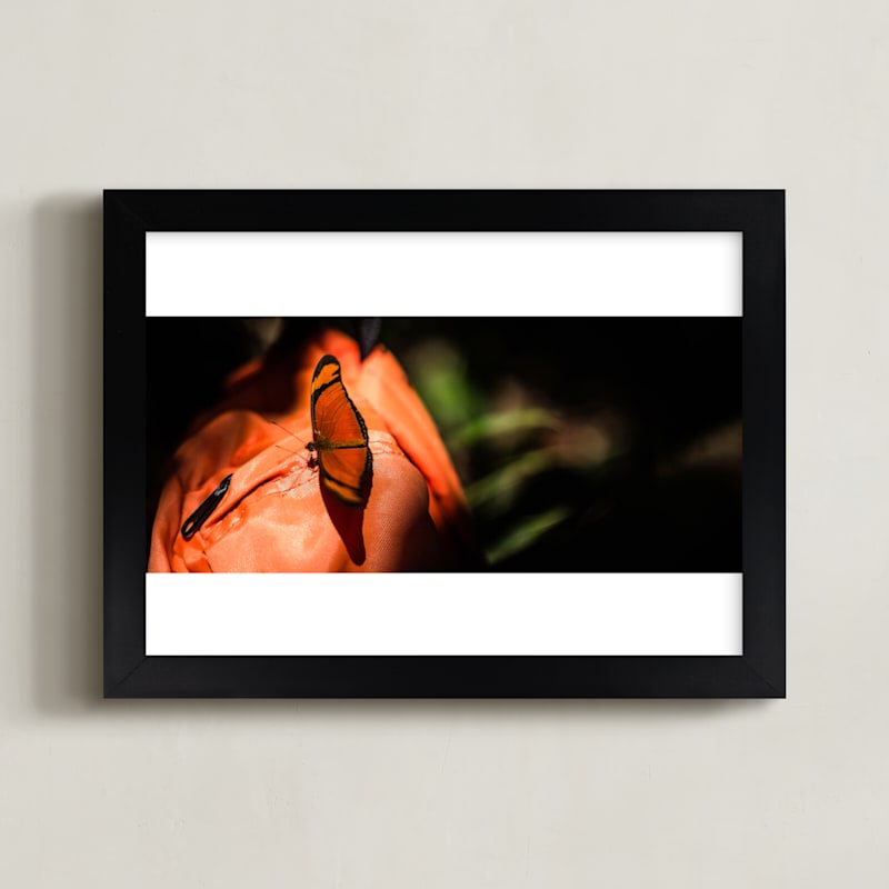 "Amazonian Butterfly 001" - Art Print in Orange Butterfly by Arash Fattahi Acosta - Framed