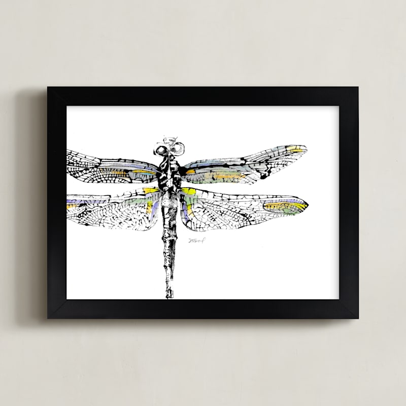 Dragonfly Monotype