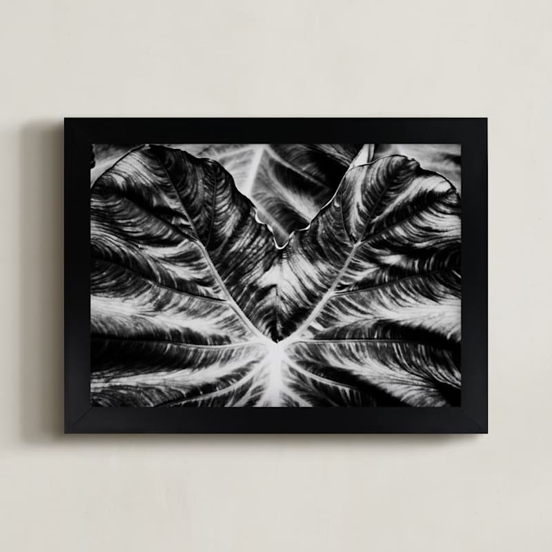 Bold Leaf