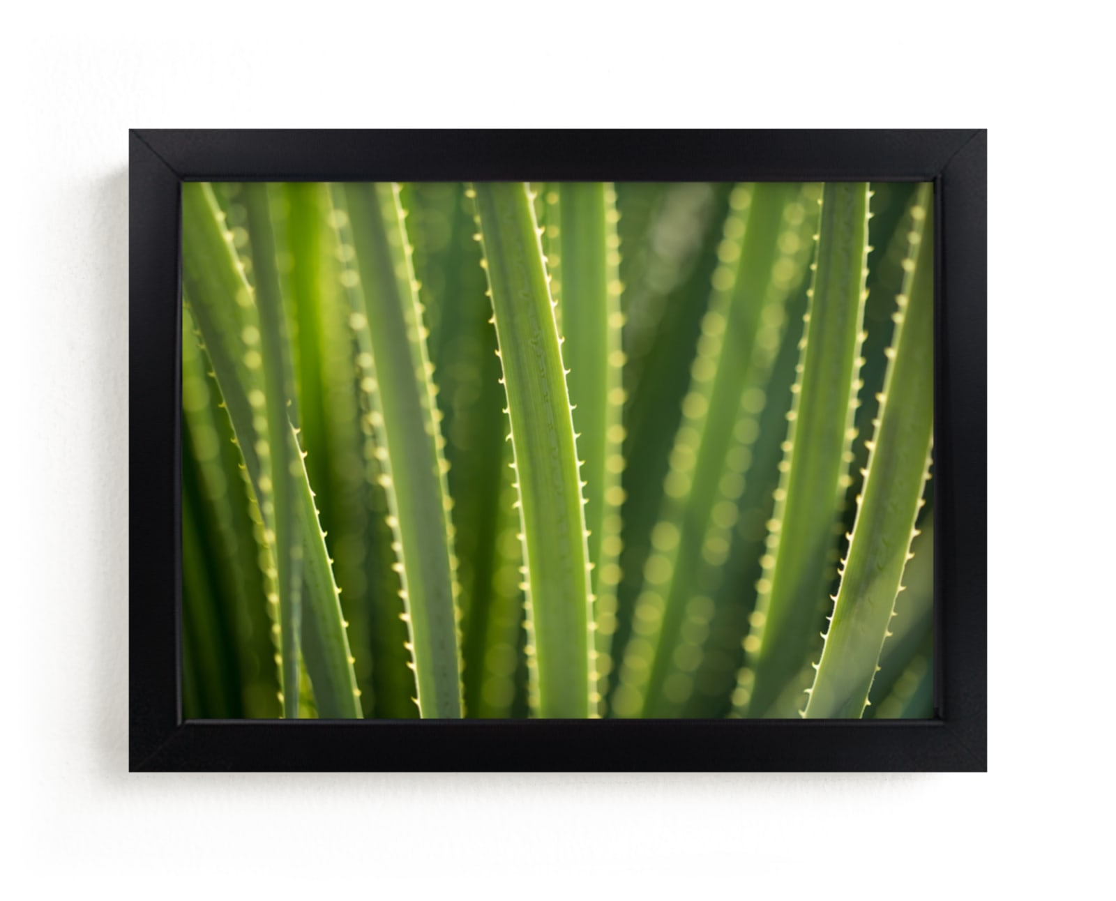 "That Glow" - Art Print by Owl and Toad in beautiful frame options and a variety of sizes.