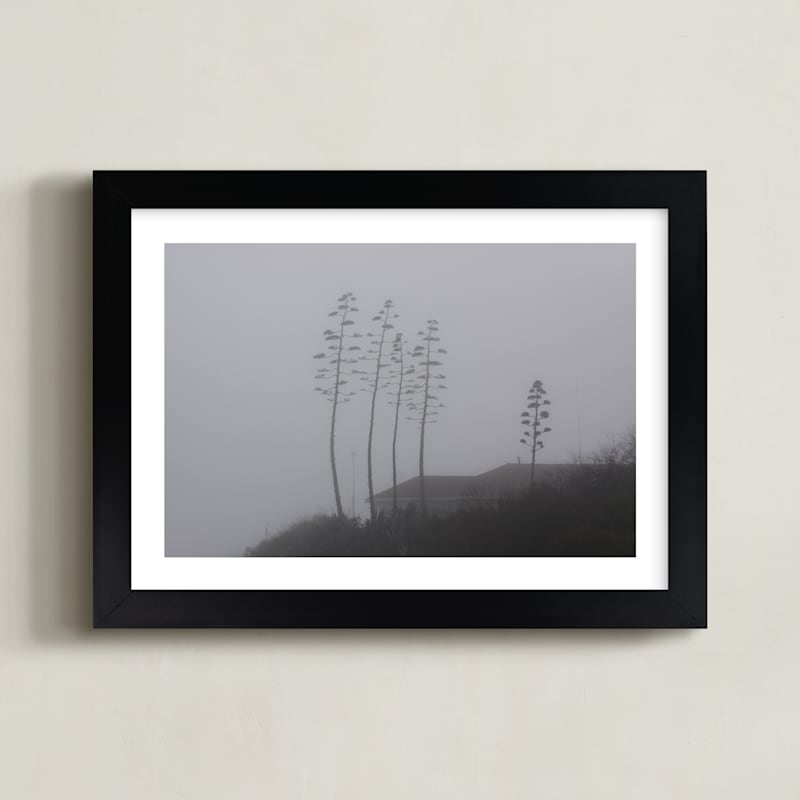 Century Fog