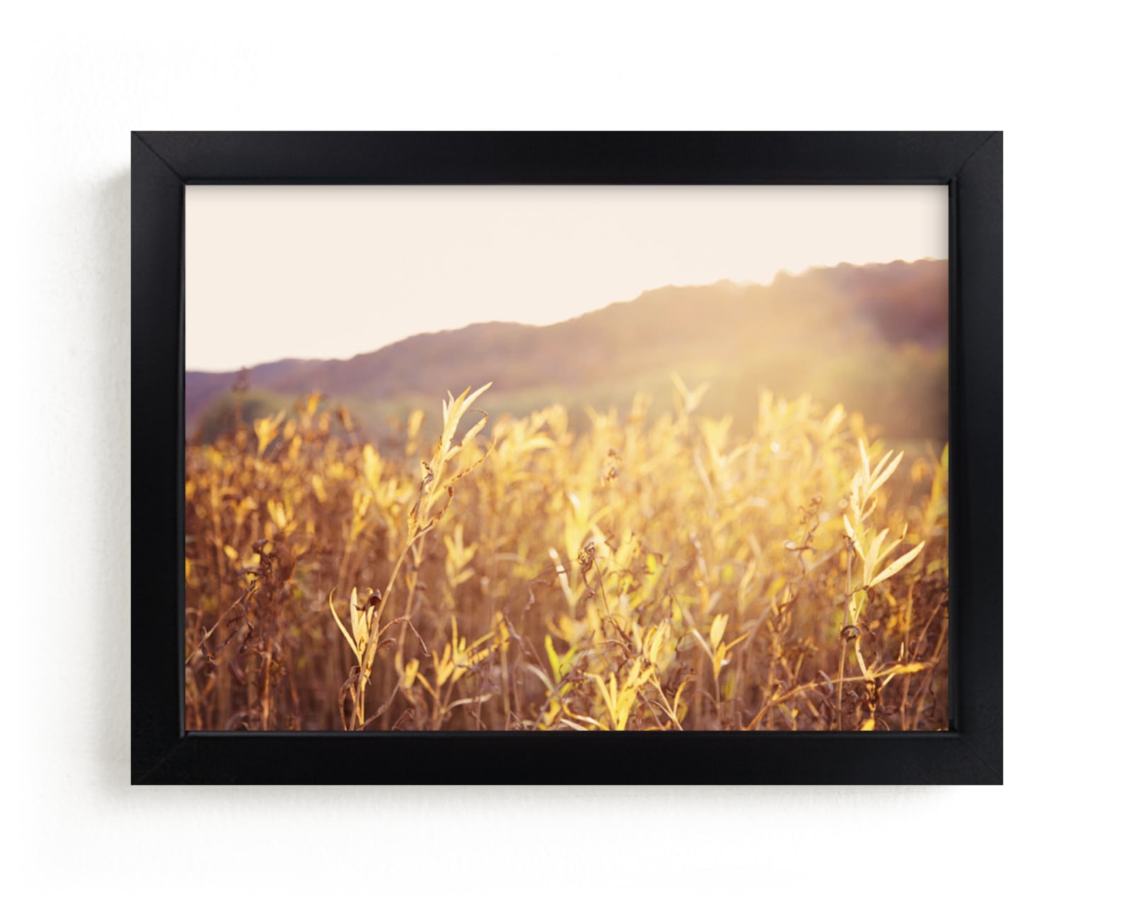 "River Warmth" - Art Print by Erin Niehenke in beautiful frame options and a variety of sizes.