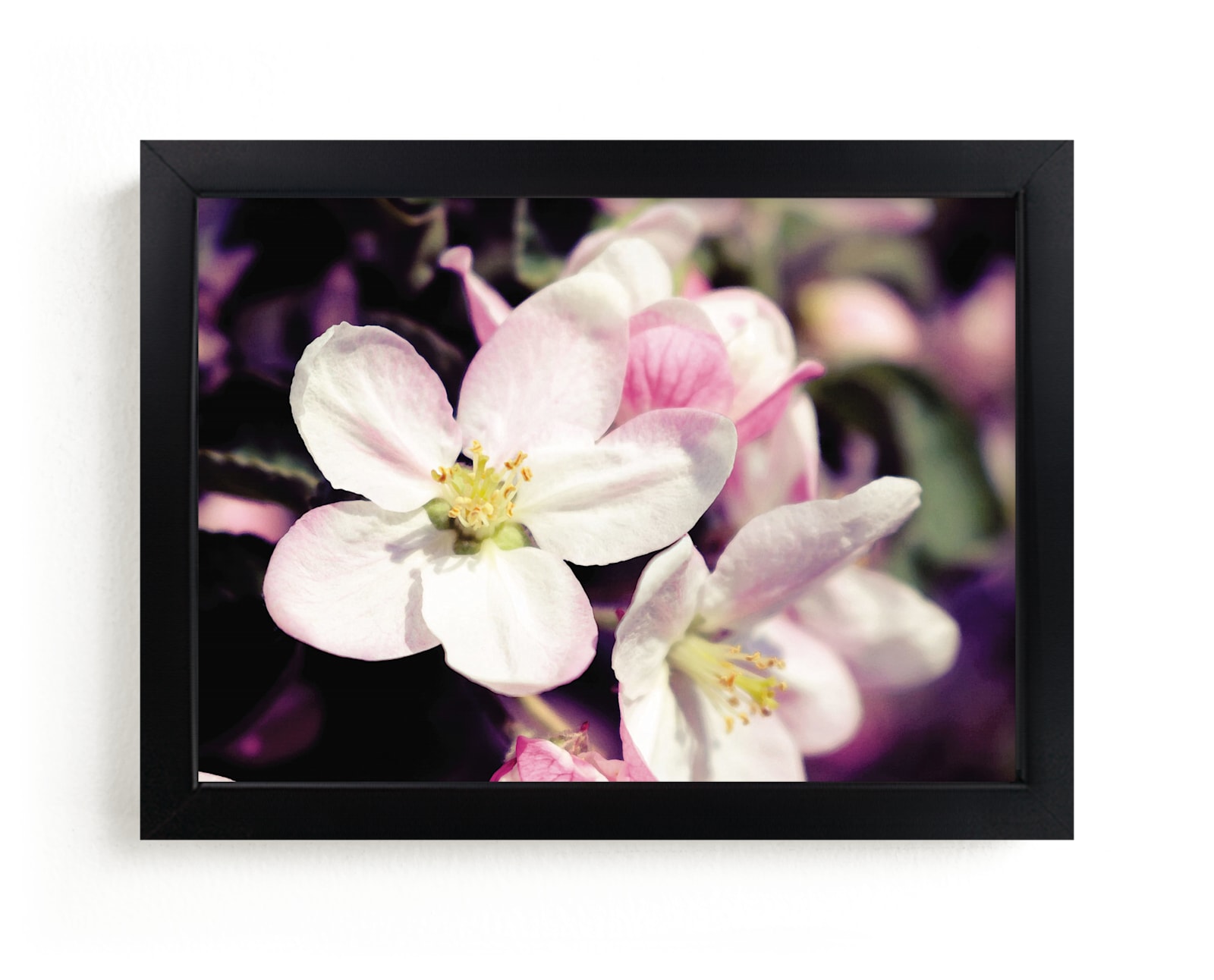 "Watercolour Apple Blossoms" - Art Print by Katrina Lindhorst in beautiful frame options and a variety of sizes.