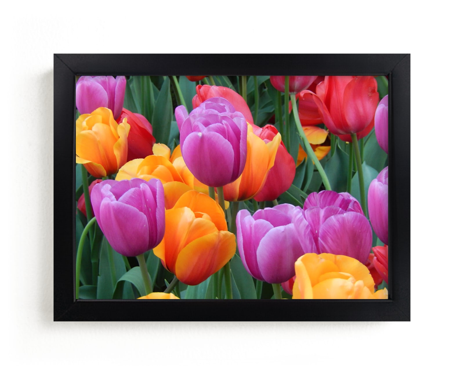 "Candy Colors 1" - Art Print by Jan Kessel in beautiful frame options and a variety of sizes.