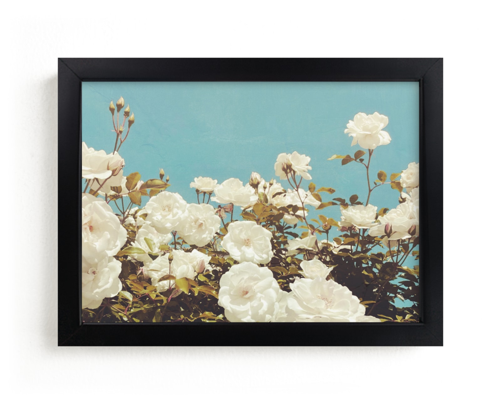 "In Bloom (Rectangular)" by Amber Barkley in beautiful frame options and a variety of sizes.