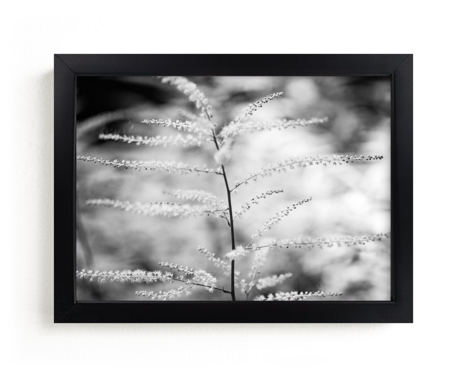 "In and out of focus" by Alexis Arnold in beautiful frame options and a variety of sizes.