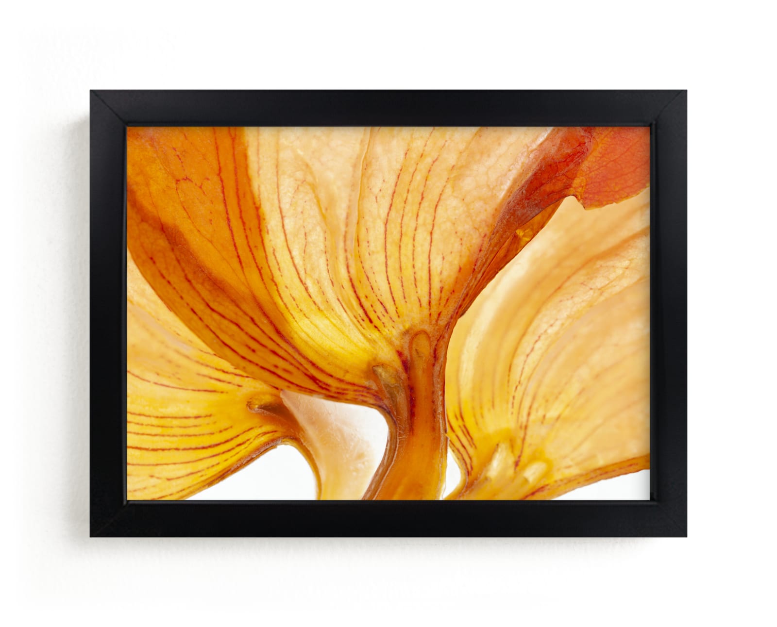 "Vibrant nature" by Eliane Lamb in beautiful frame options and a variety of sizes.