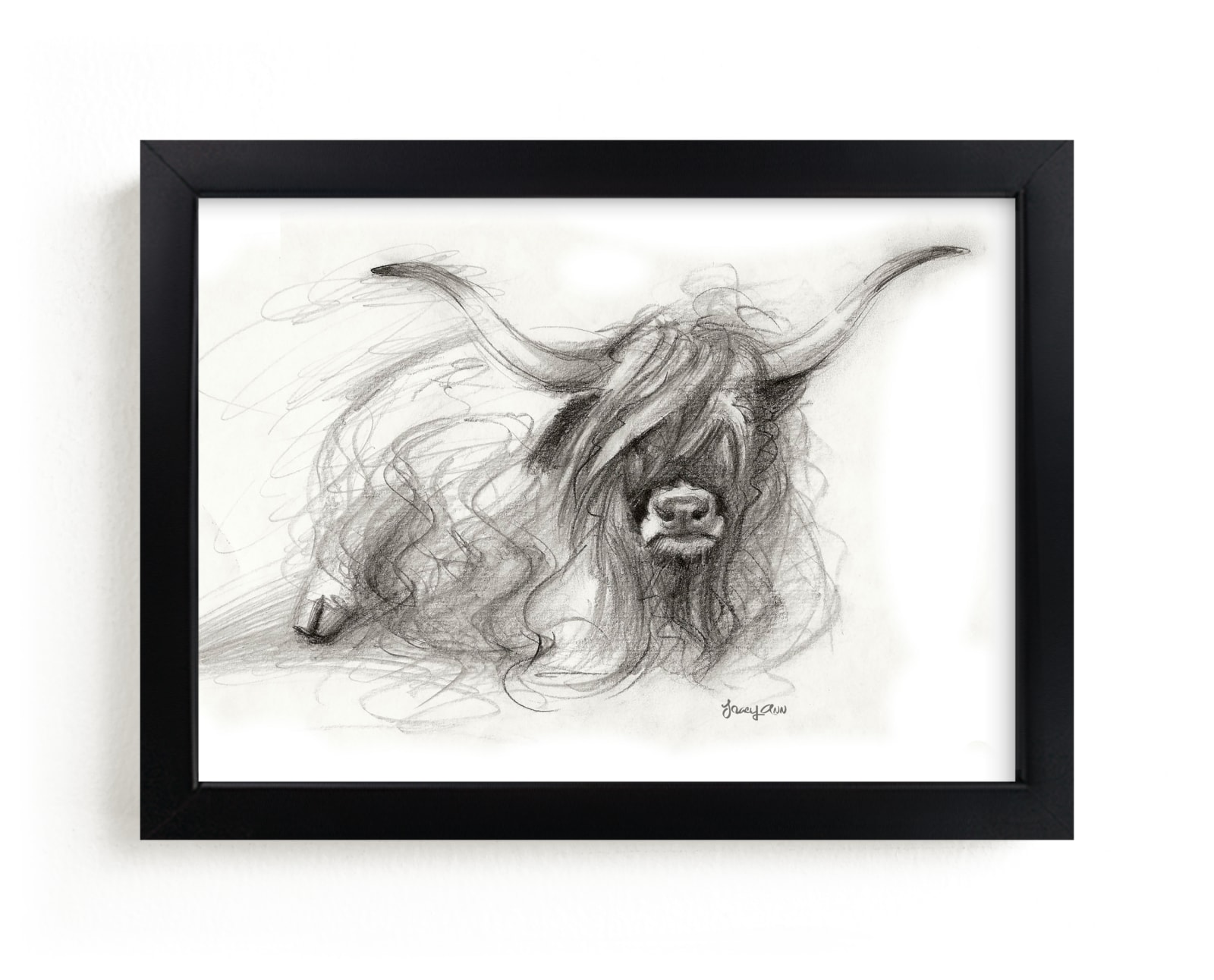 "Grumpy Scots Highland Bull" by Tracy Ann in beautiful frame options and a variety of sizes.