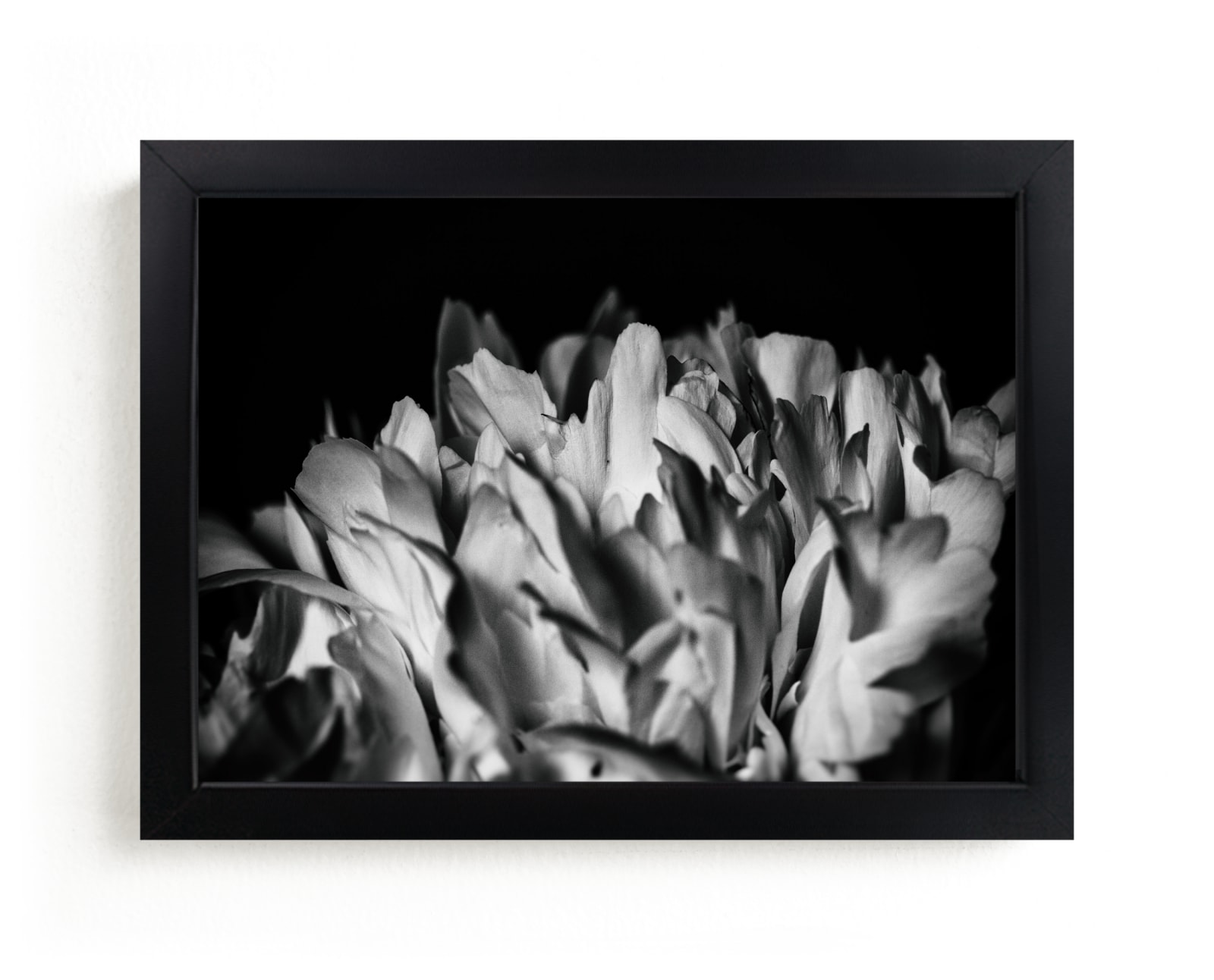 "Top of the Petals" by Alexis Arnold in beautiful frame options and a variety of sizes.