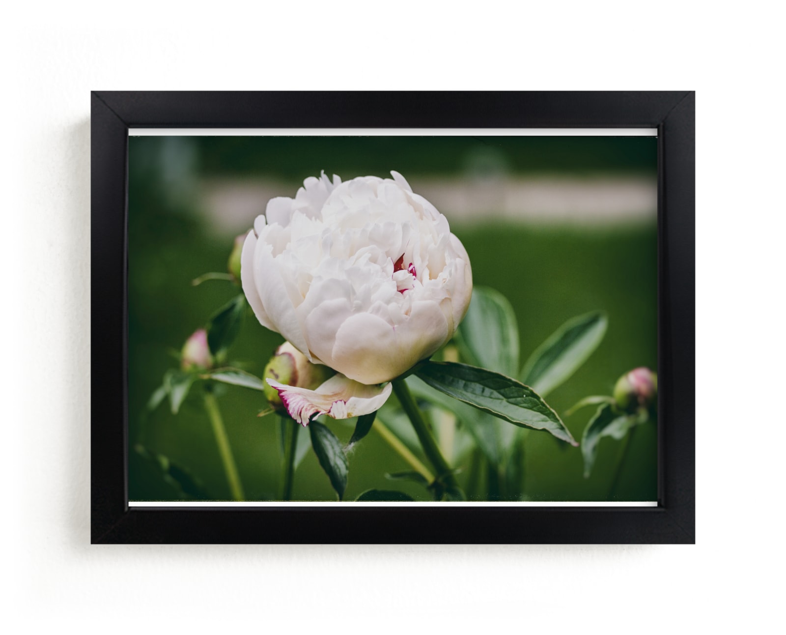 "About to Open" by Alexis Arnold in beautiful frame options and a variety of sizes.