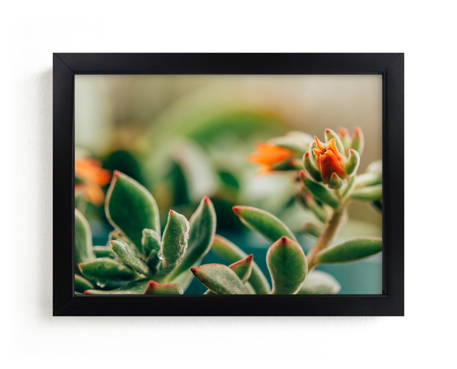 "Dew Drop By by Stacy Kron" by Stacy Kron in beautiful frame options and a variety of sizes.
