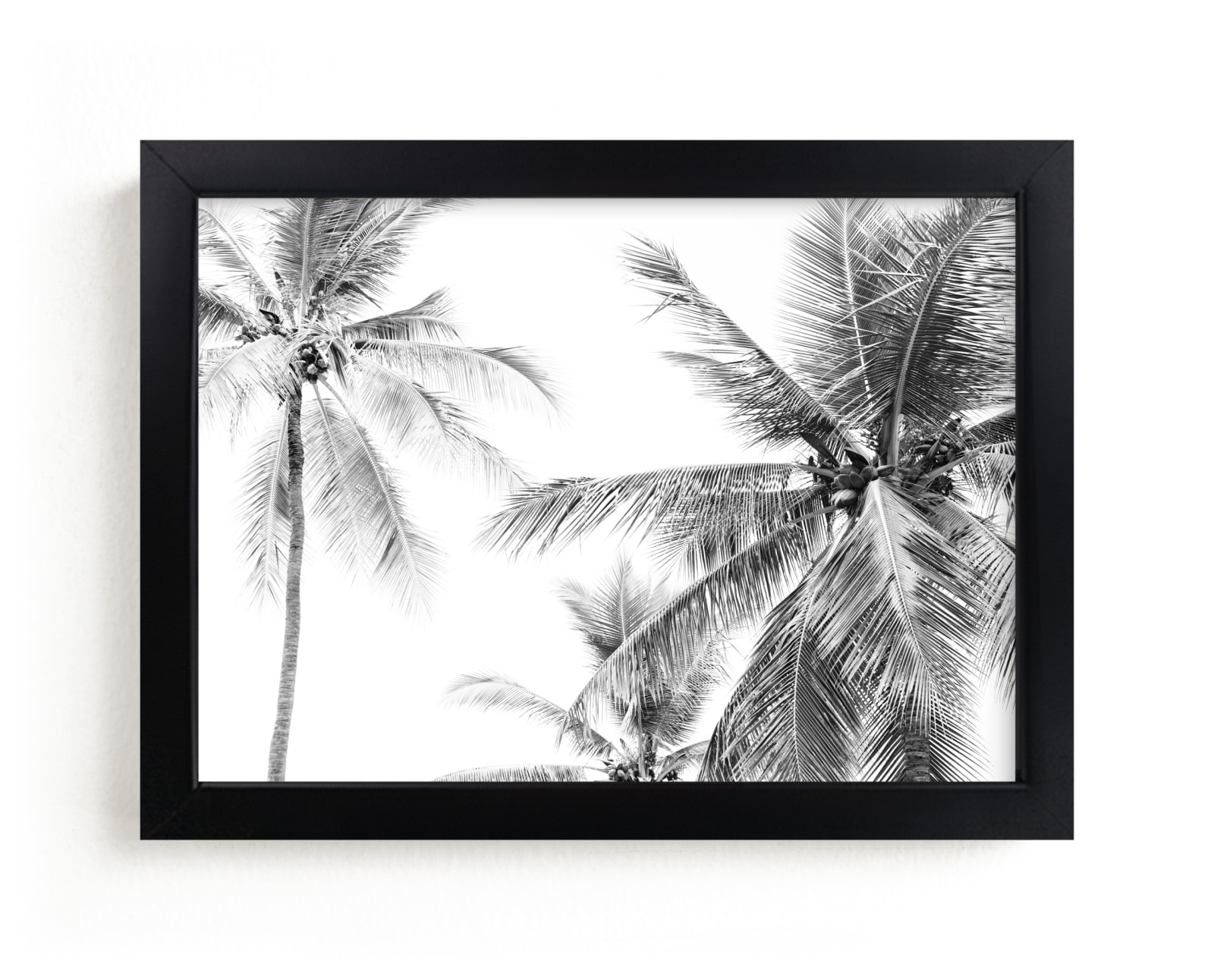"Coconut Island" by Bree Madden in beautiful frame options and a variety of sizes.