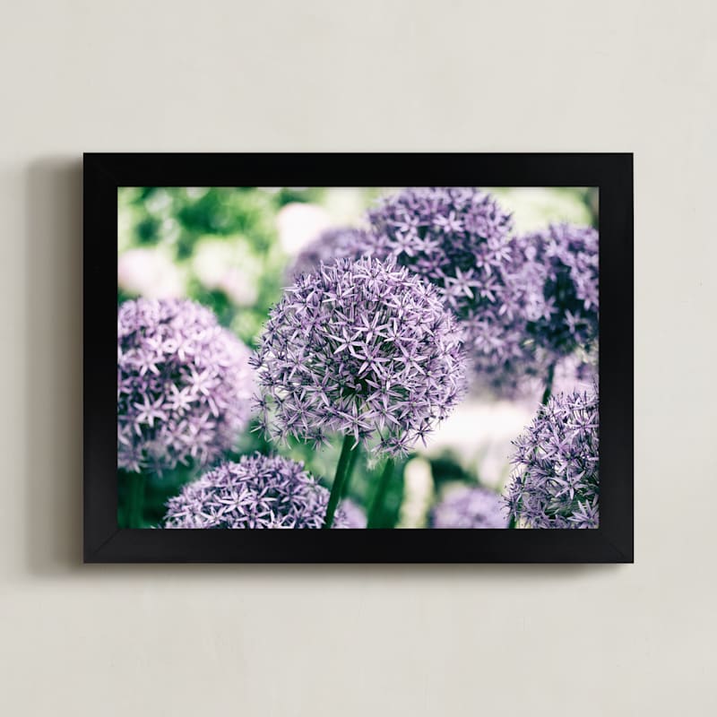 Purple Flowers