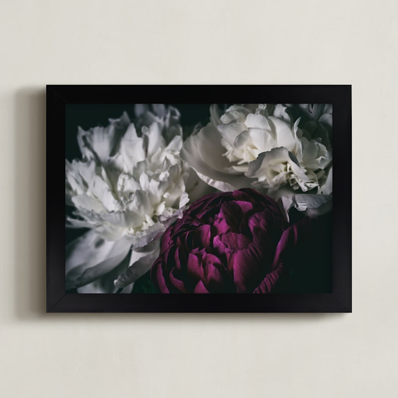 Peony Pop of Color