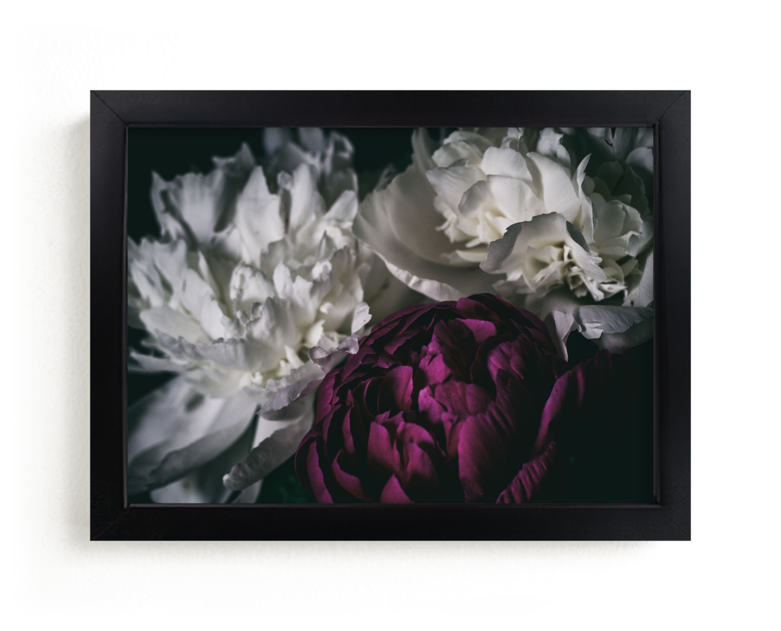 "Peony Pop of Color" by Alexis Arnold in beautiful frame options and a variety of sizes.