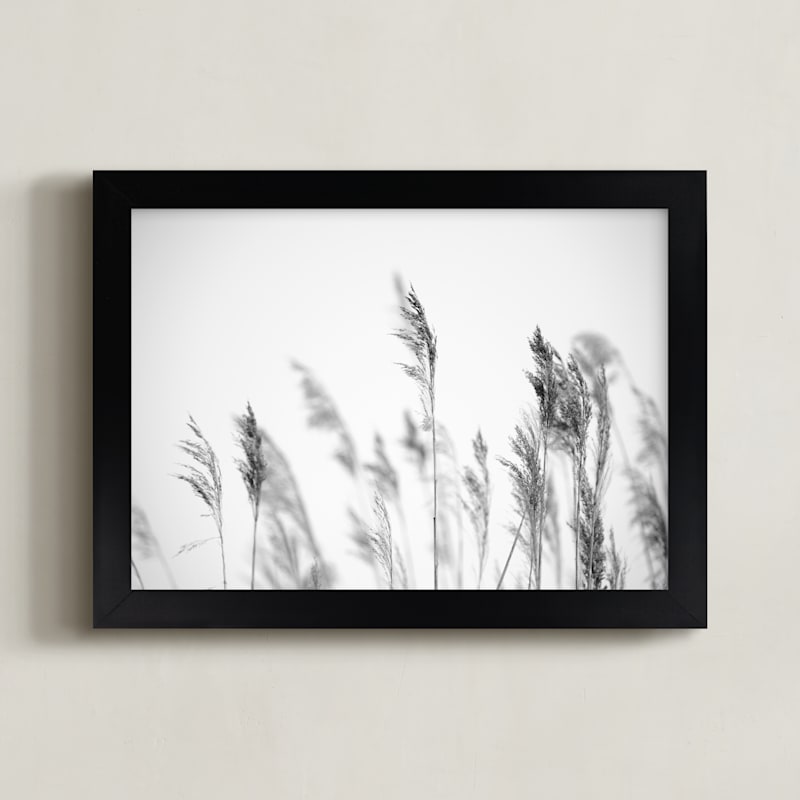 "summer weeds b+w" by Crystal Lynn Collins in beautiful frame options and a variety of sizes.