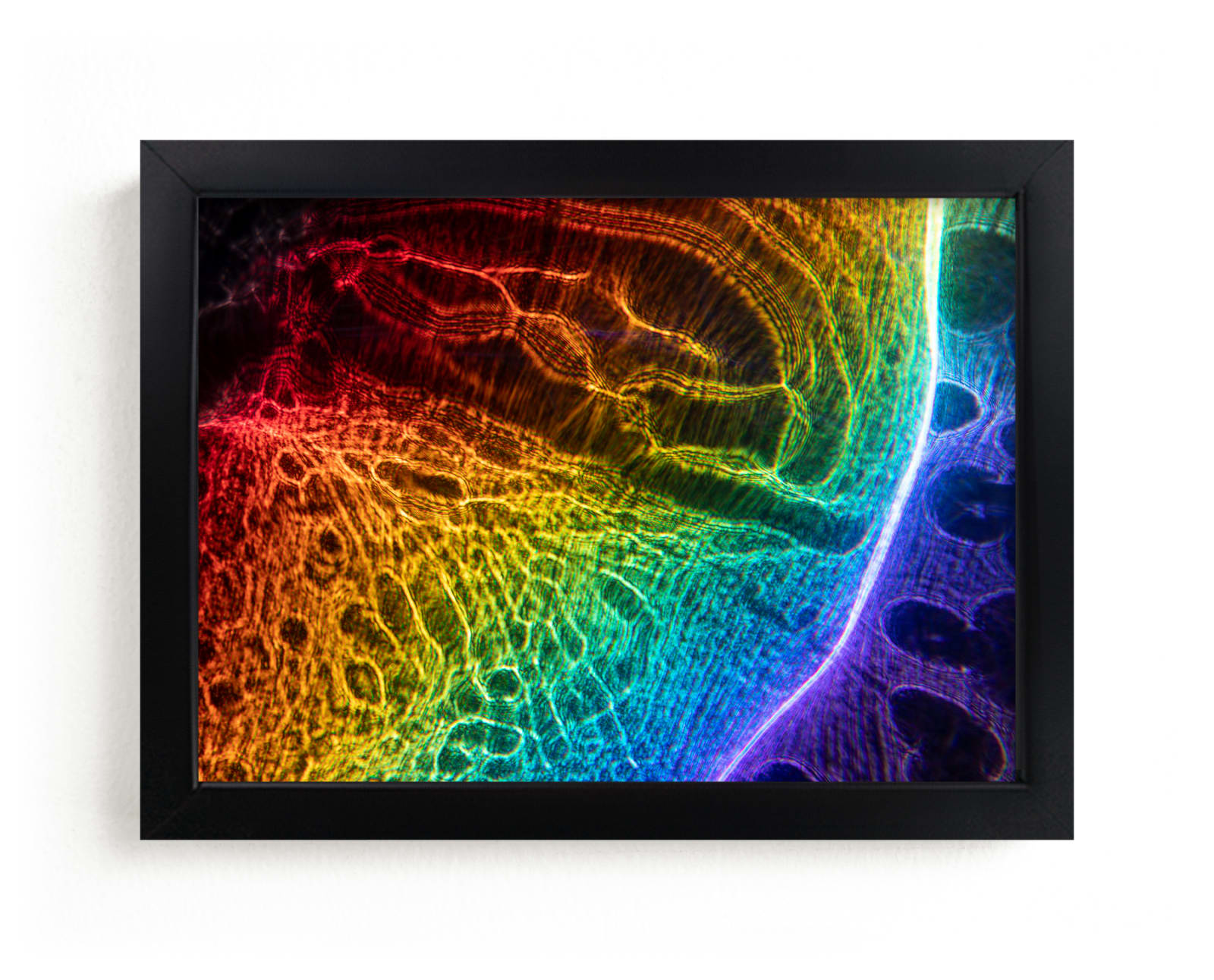 "Rainbow Lightning" by raven erebus in beautiful frame options and a variety of sizes.