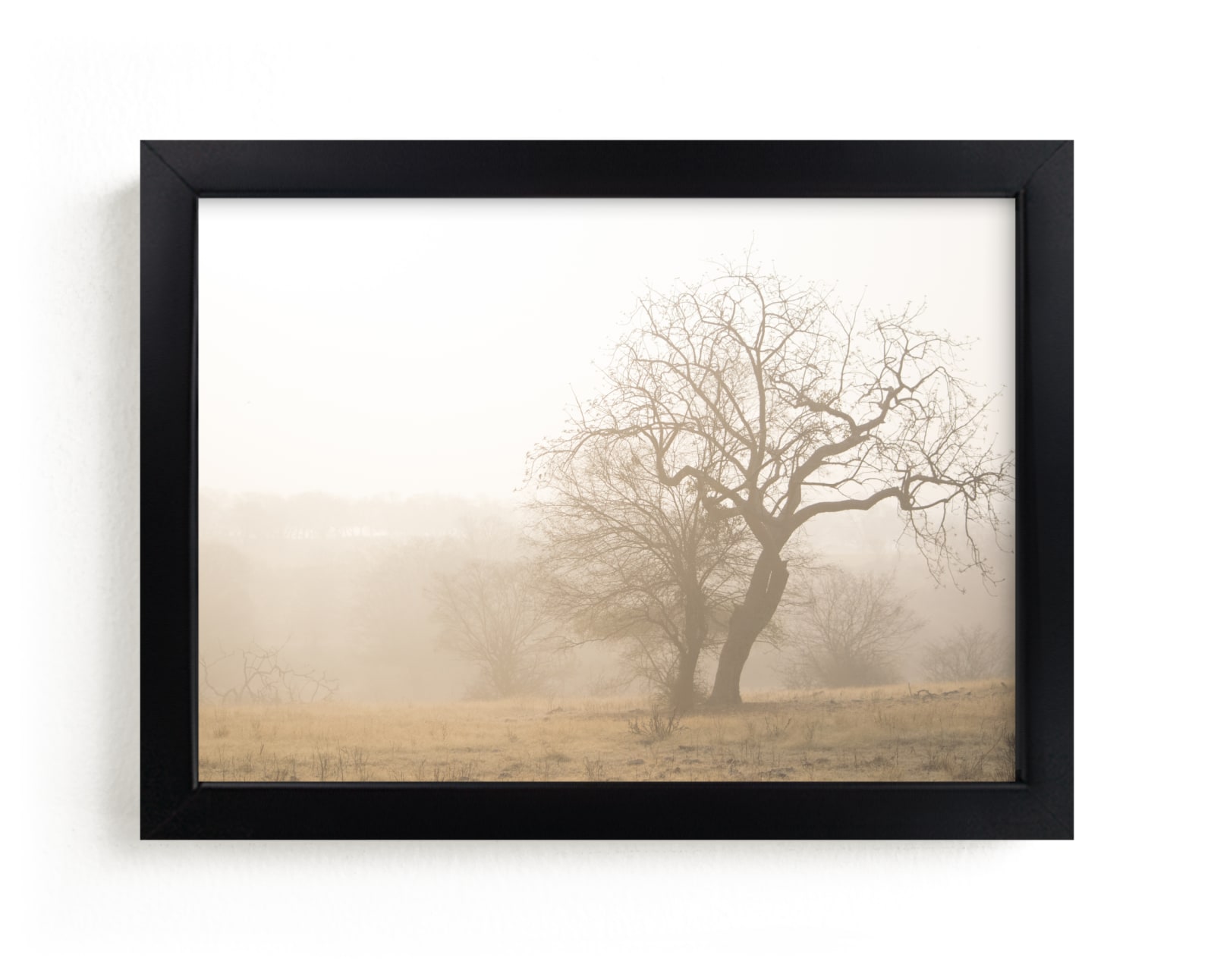 "Sunrise Trees" by Laura Mock in beautiful frame options and a variety of sizes.