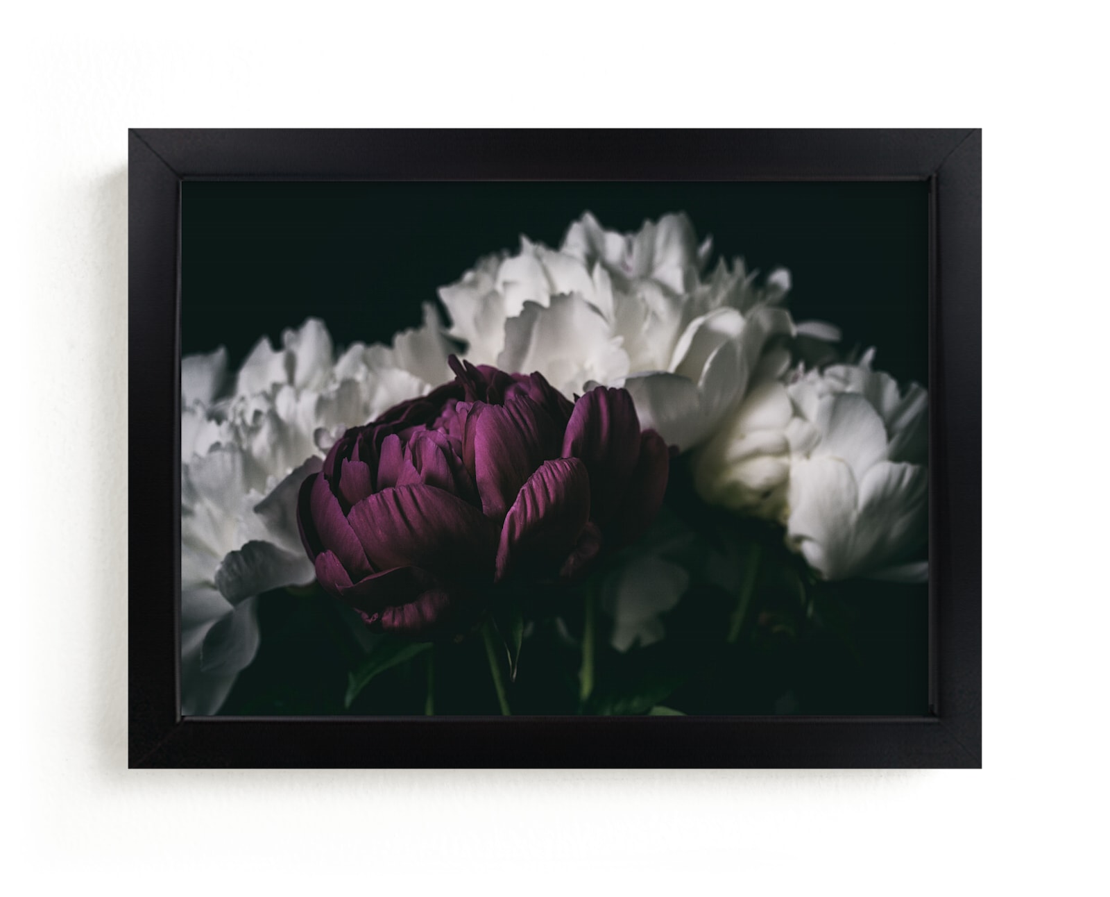 "Magenta Beauty" by Alexis Arnold in beautiful frame options and a variety of sizes.