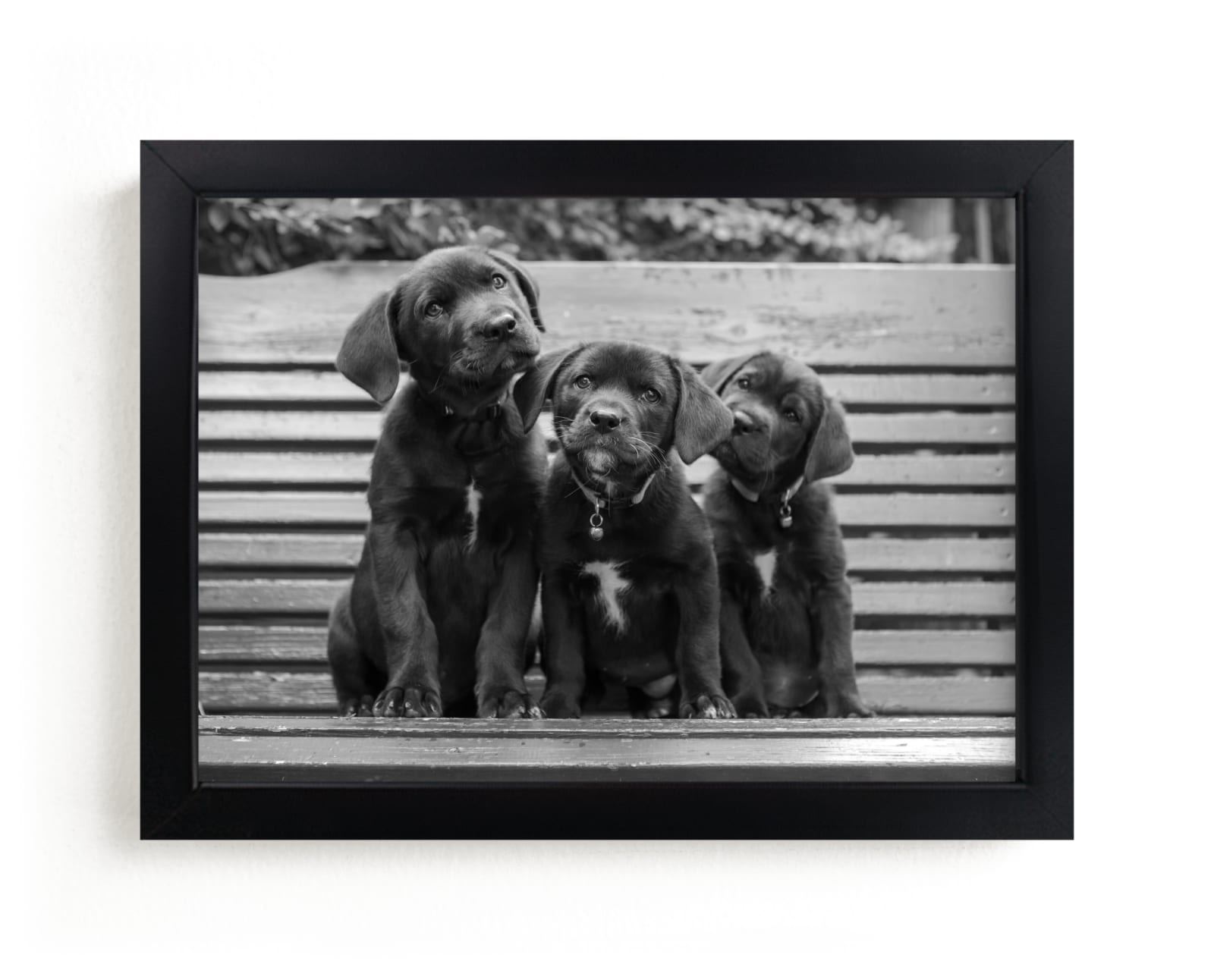 "Threesome" by Nancy Lindo in beautiful frame options and a variety of sizes.
