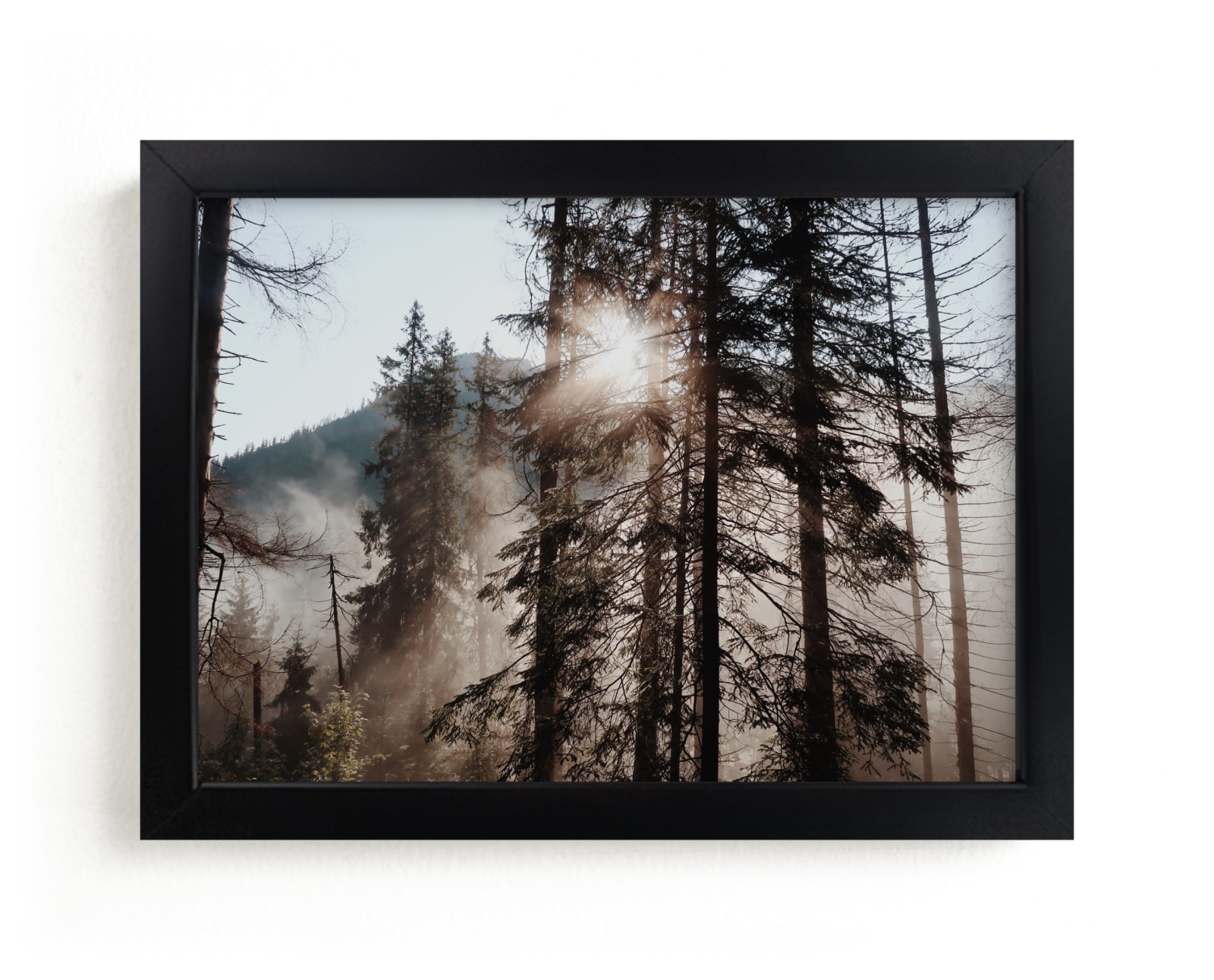 "Mountain Mist" by Claire Duda in beautiful frame options and a variety of sizes.