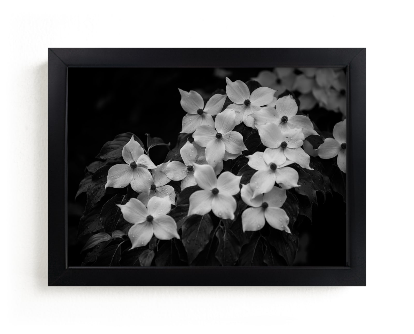 "Rainy Day Flowers" by Janet Cruz in beautiful frame options and a variety of sizes.