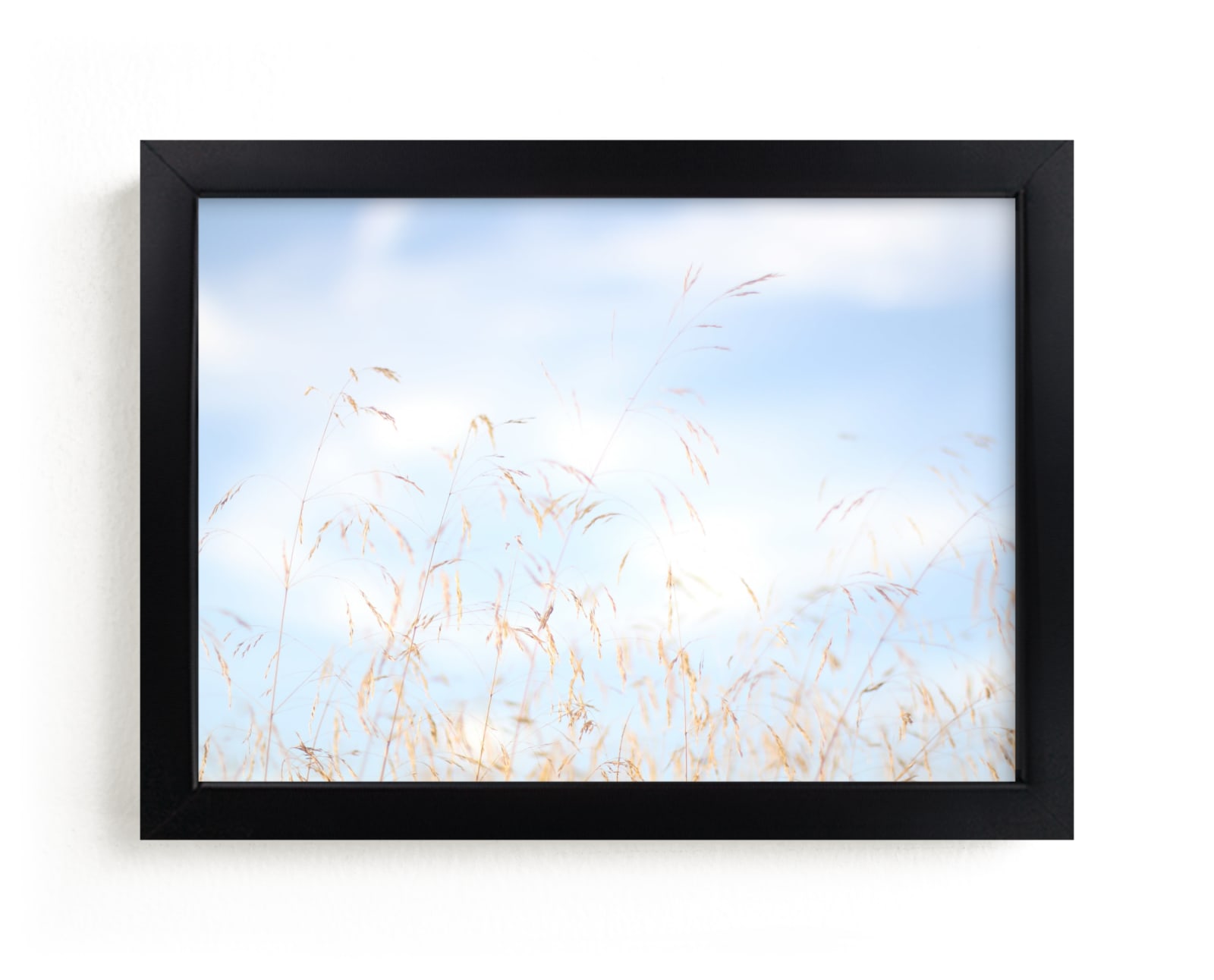 "Field of Promise" by Jayna B in beautiful frame options and a variety of sizes.