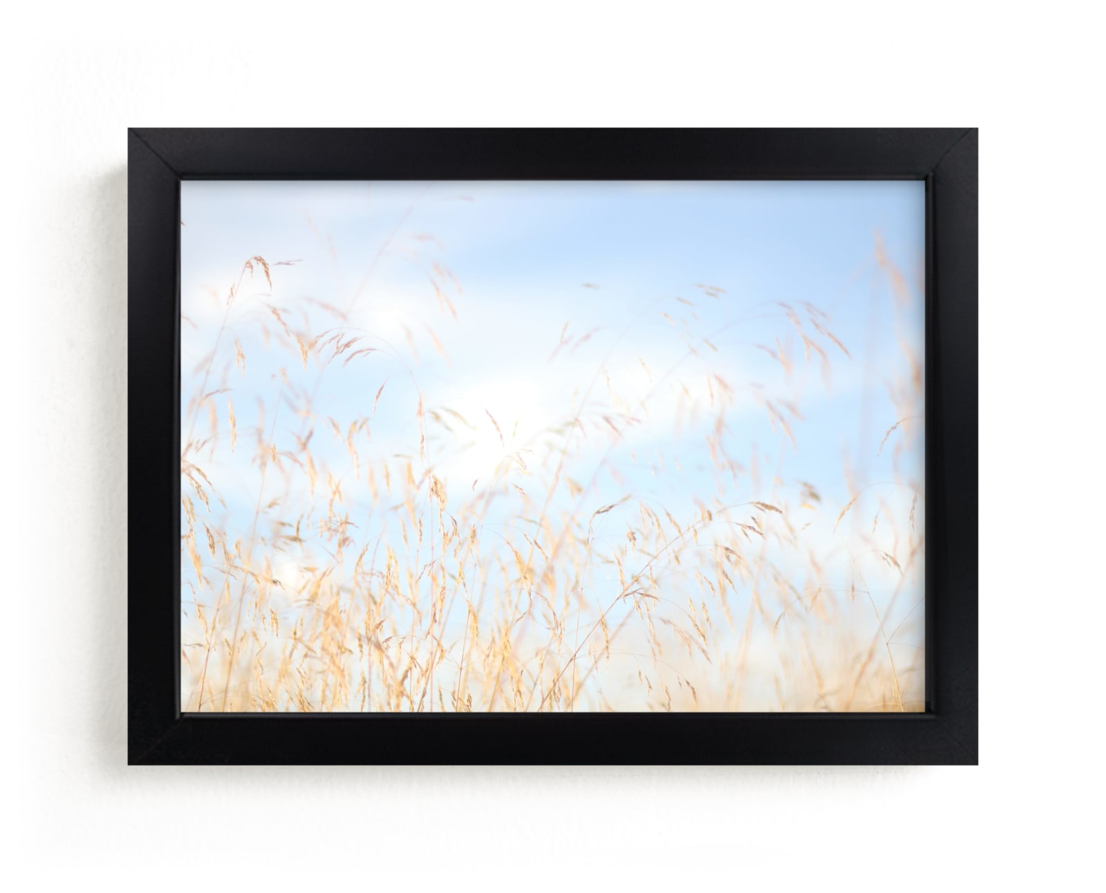 "Field of Light" by Jayna B in beautiful frame options and a variety of sizes.