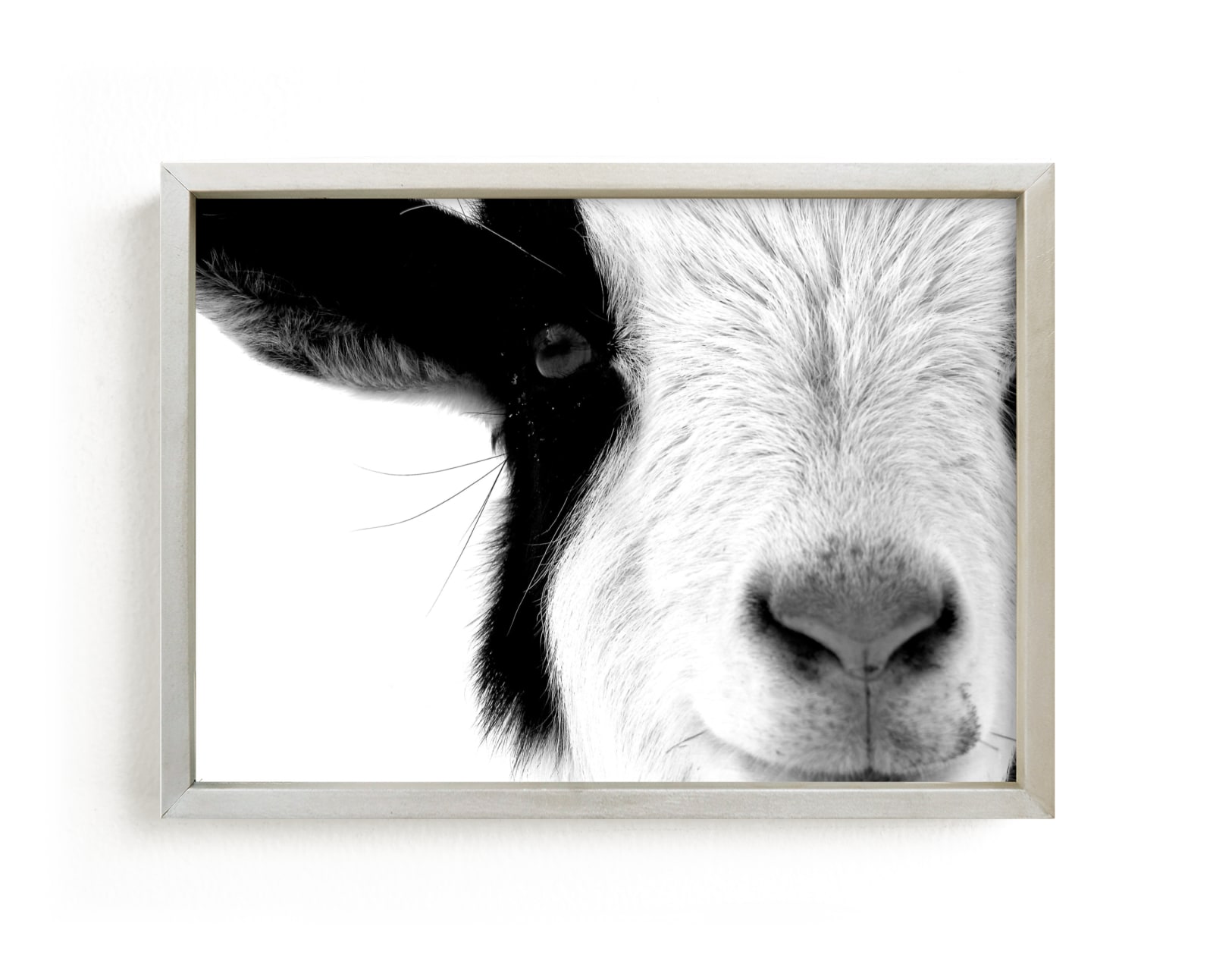 "Pawnee" - Limited Edition Art Print by Leslie Le Coq in beautiful frame options and a variety of sizes.