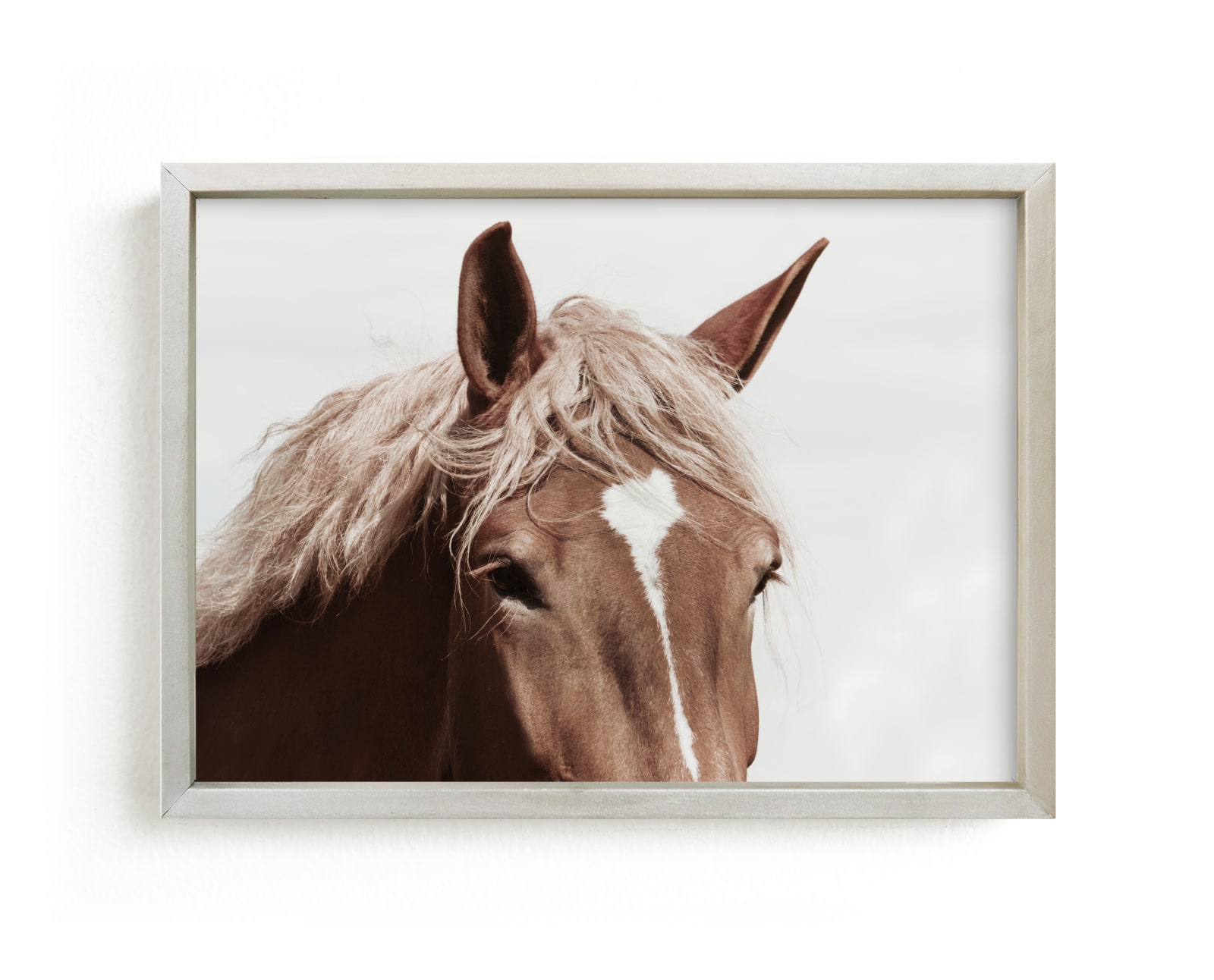 "Belgian Beauty" - Limited Edition Art Print by Robin Ott in beautiful frame options and a variety of sizes.