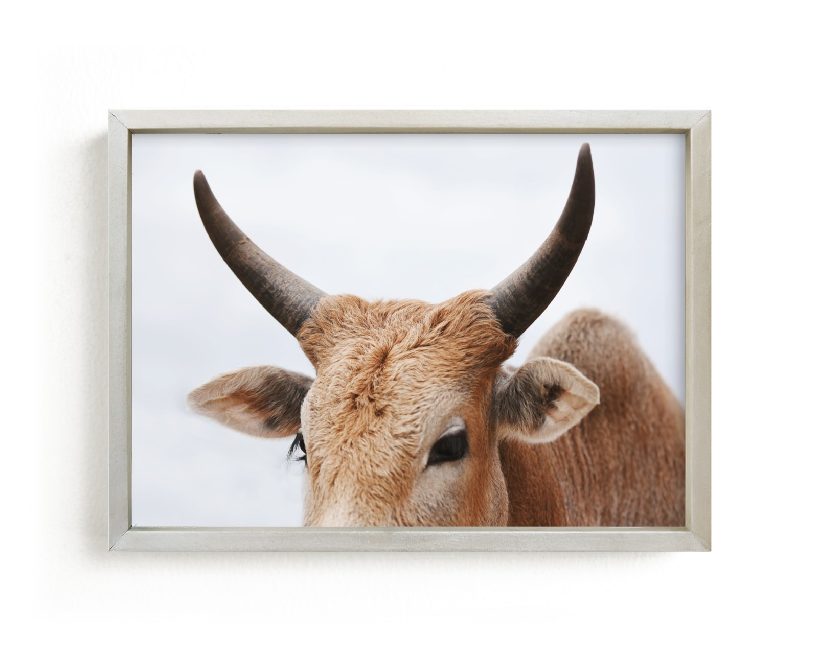 "Nelly Dean" - Limited Edition Art Print by Amy Carroll in beautiful frame options and a variety of sizes.