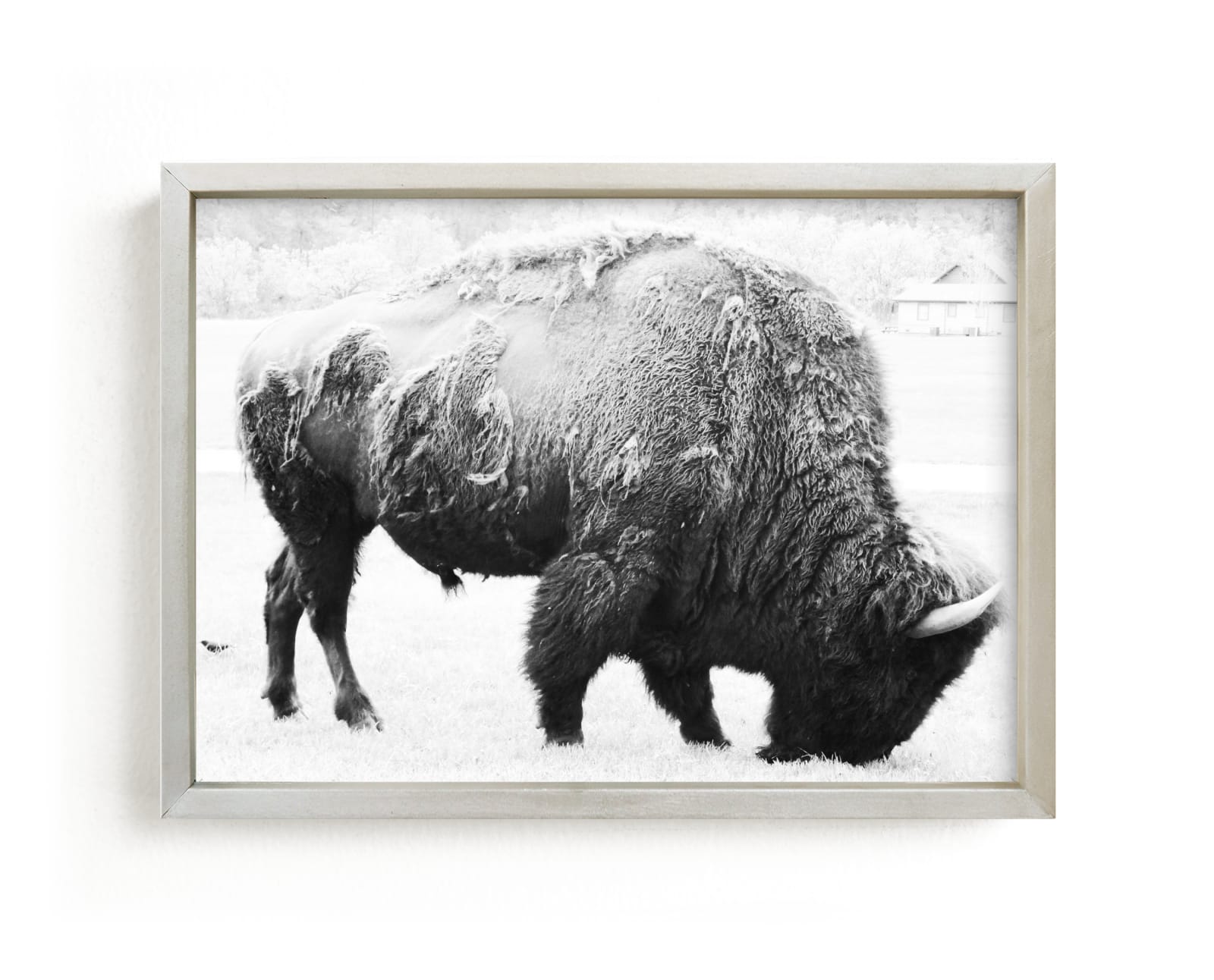 "Living Remnants of the Not-So-Distant Past" - Limited Edition Art Print by Shannon Dunlap in beautiful frame options and a variety of sizes.