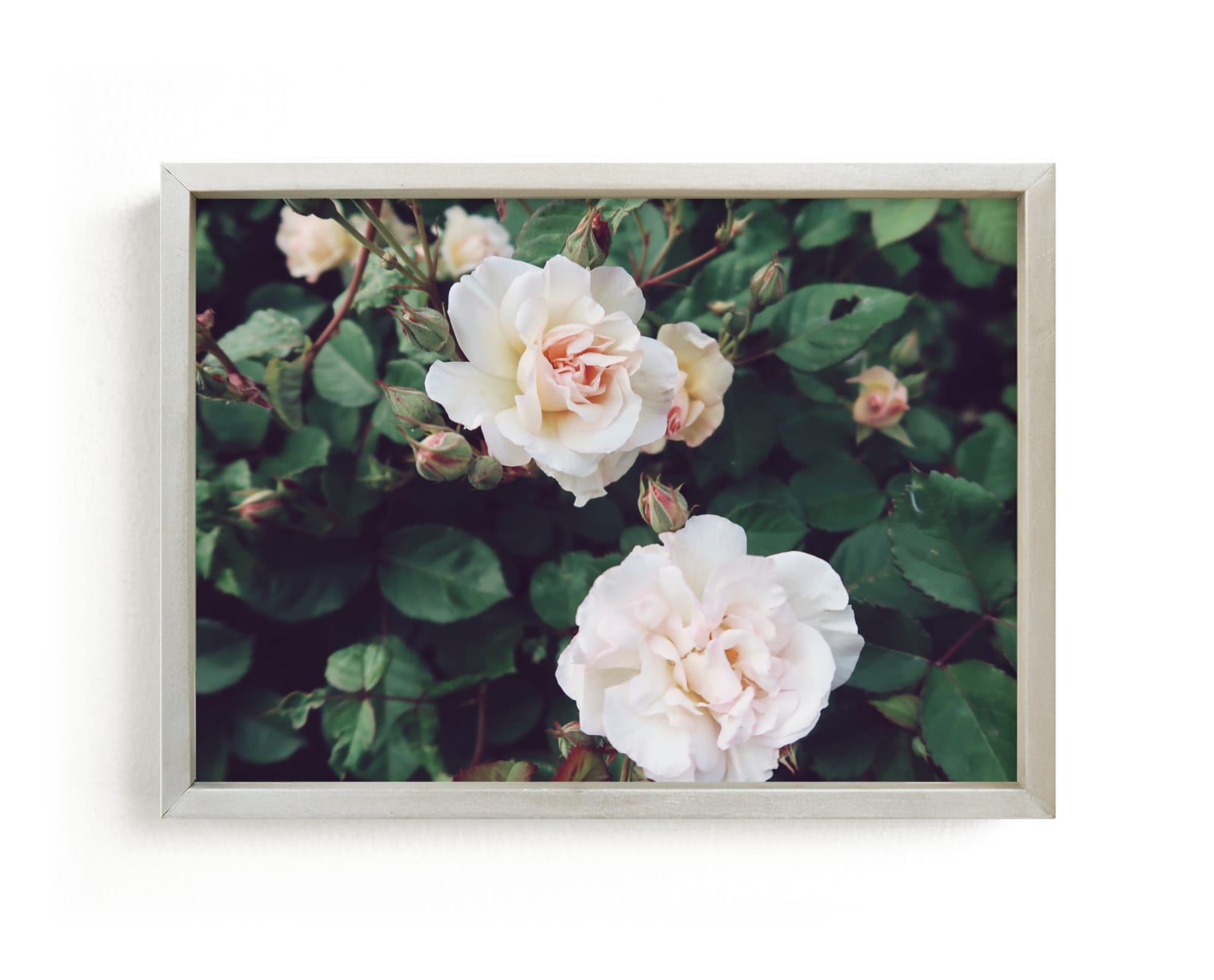 "Two Roses" by Claire Duda in beautiful frame options and a variety of sizes.