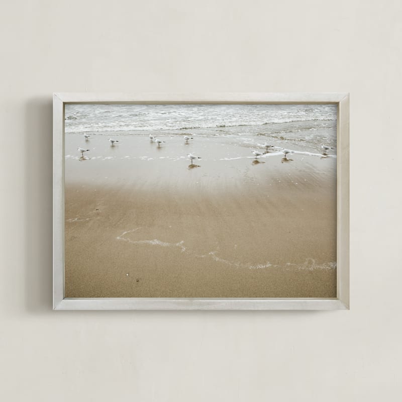 By the sea - Seagulls 