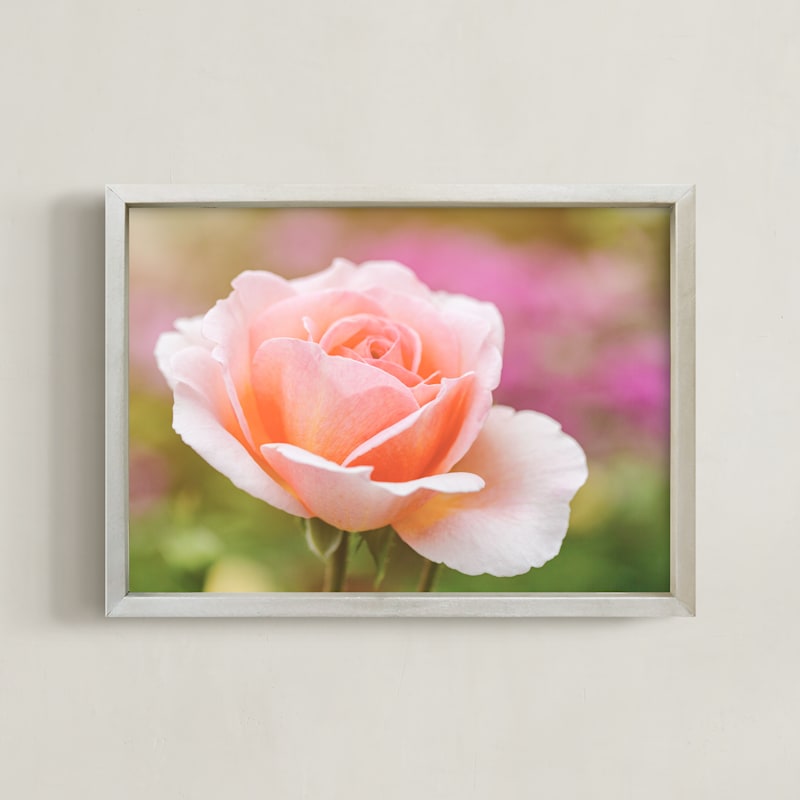 "The Perfect Rose" - Art Print in peachy pink by Alexis Arnold - Framed