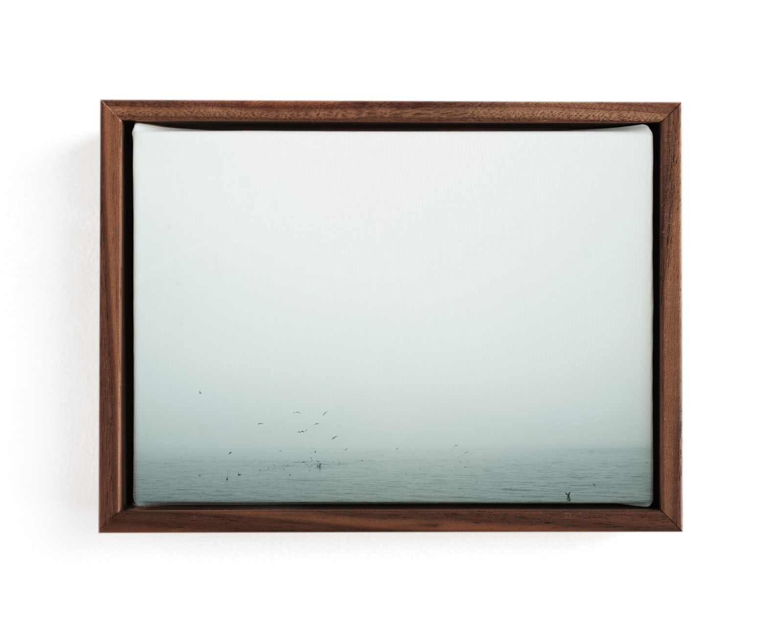 "Birds Diving for Fish" - Art Print in Birds Aqua by Katie Buckman - Framed Canvas