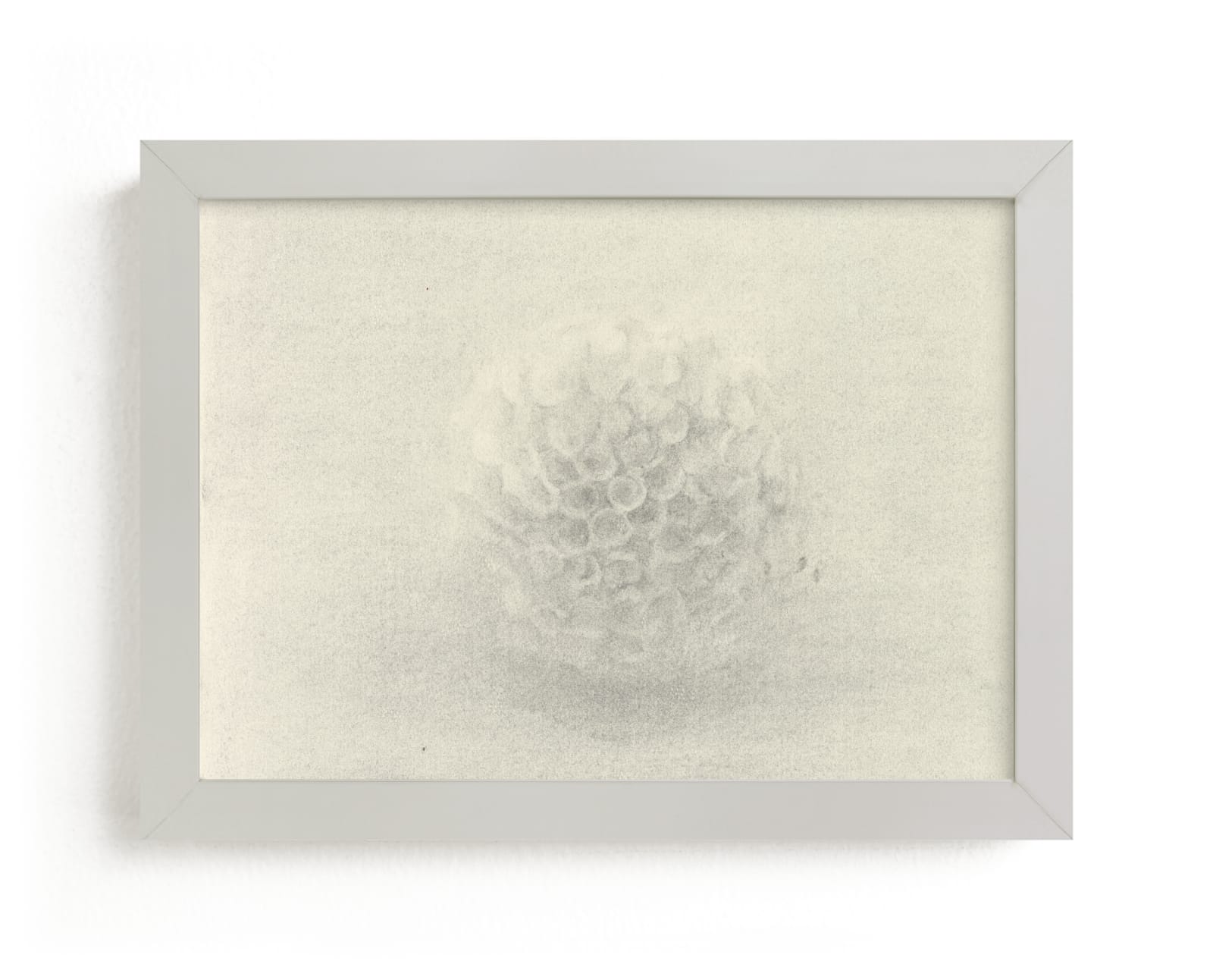 "Sea Urchin" - Limited Edition Art Print by Elisabeth Larson in beautiful frame options and a variety of sizes.