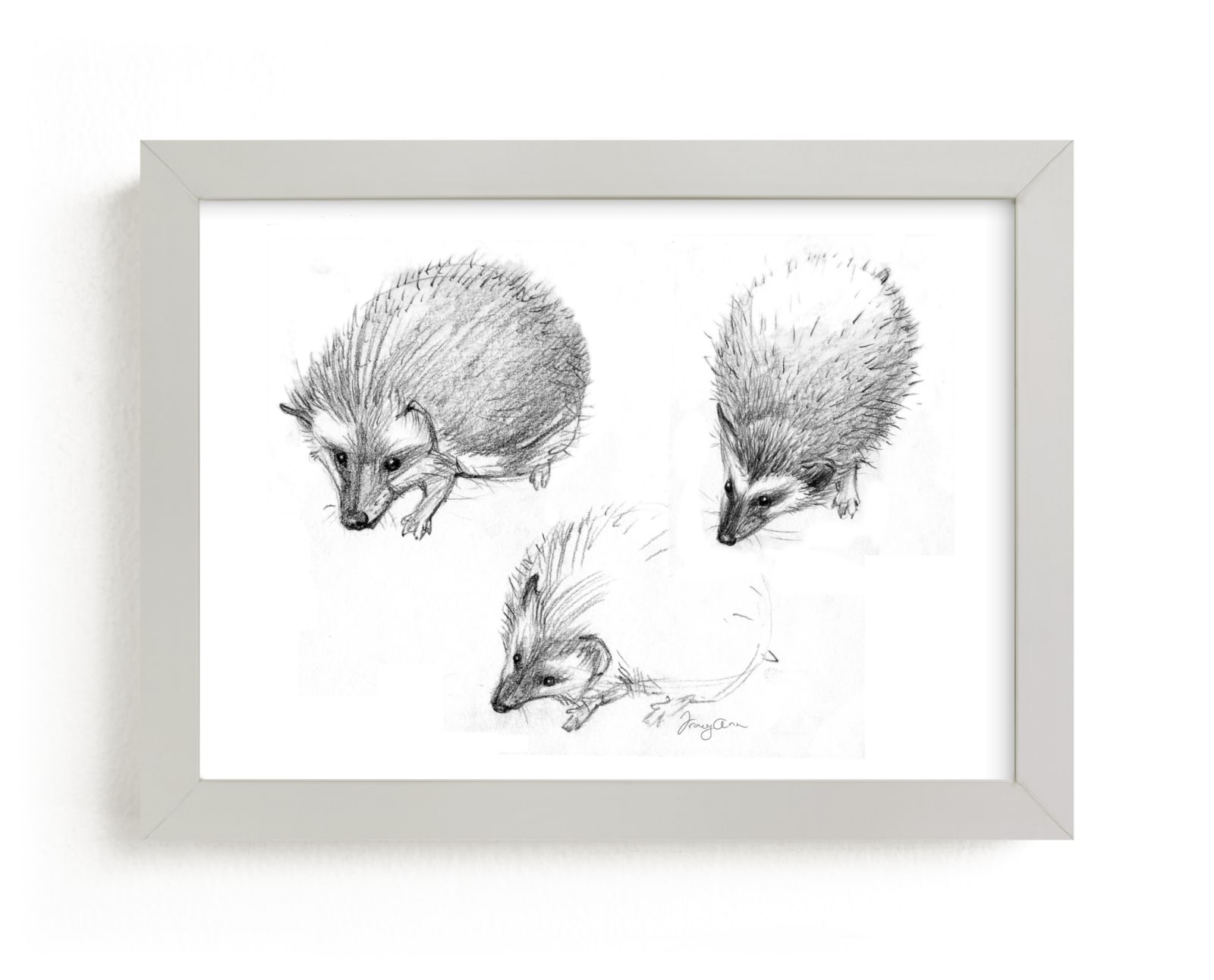 "Hedgehog sketches" by Tracy Ann in beautiful frame options and a variety of sizes.