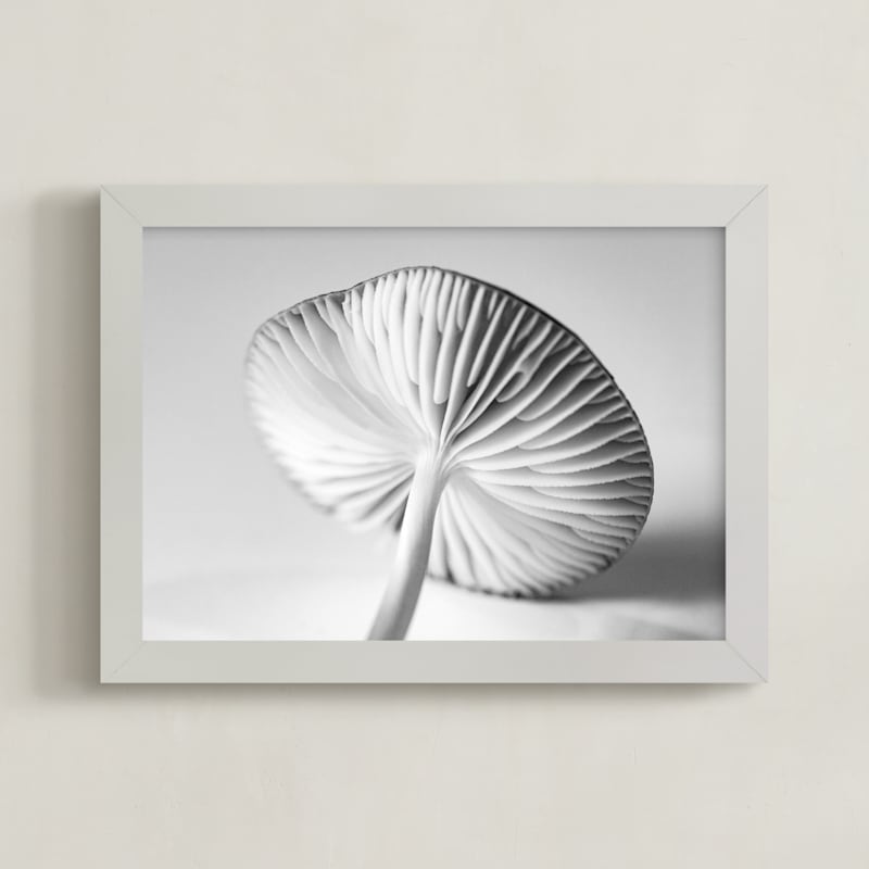 Mushroom Found