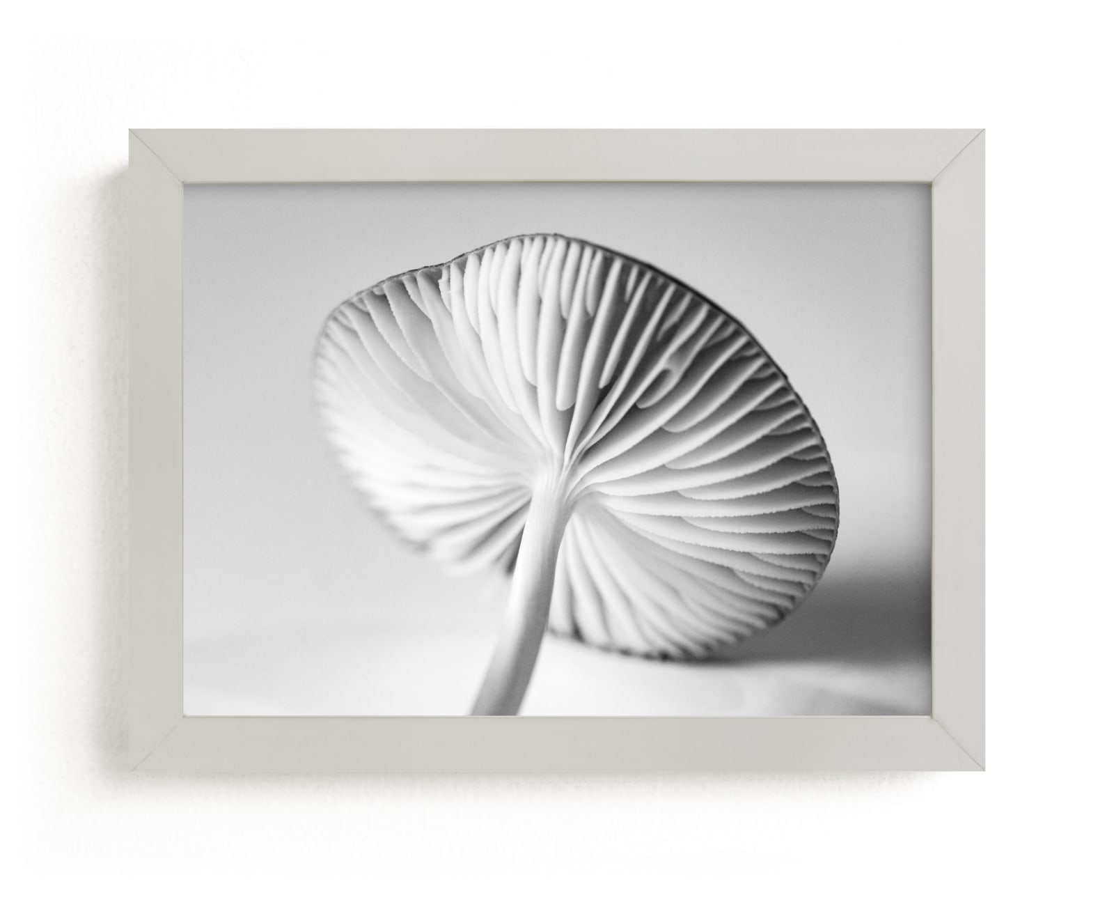 "Mushroom Found" by Alexis Arnold in beautiful frame options and a variety of sizes.