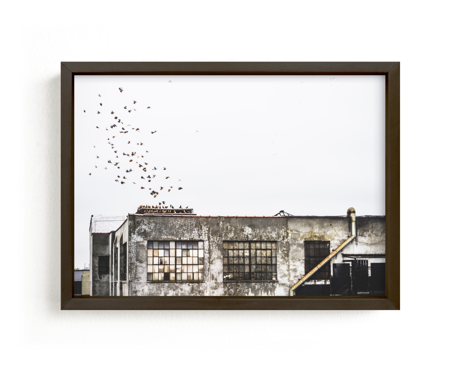"Brooklyn" - Limited Edition Art Print by Kaitlin Rebesco in beautiful frame options and a variety of sizes.
