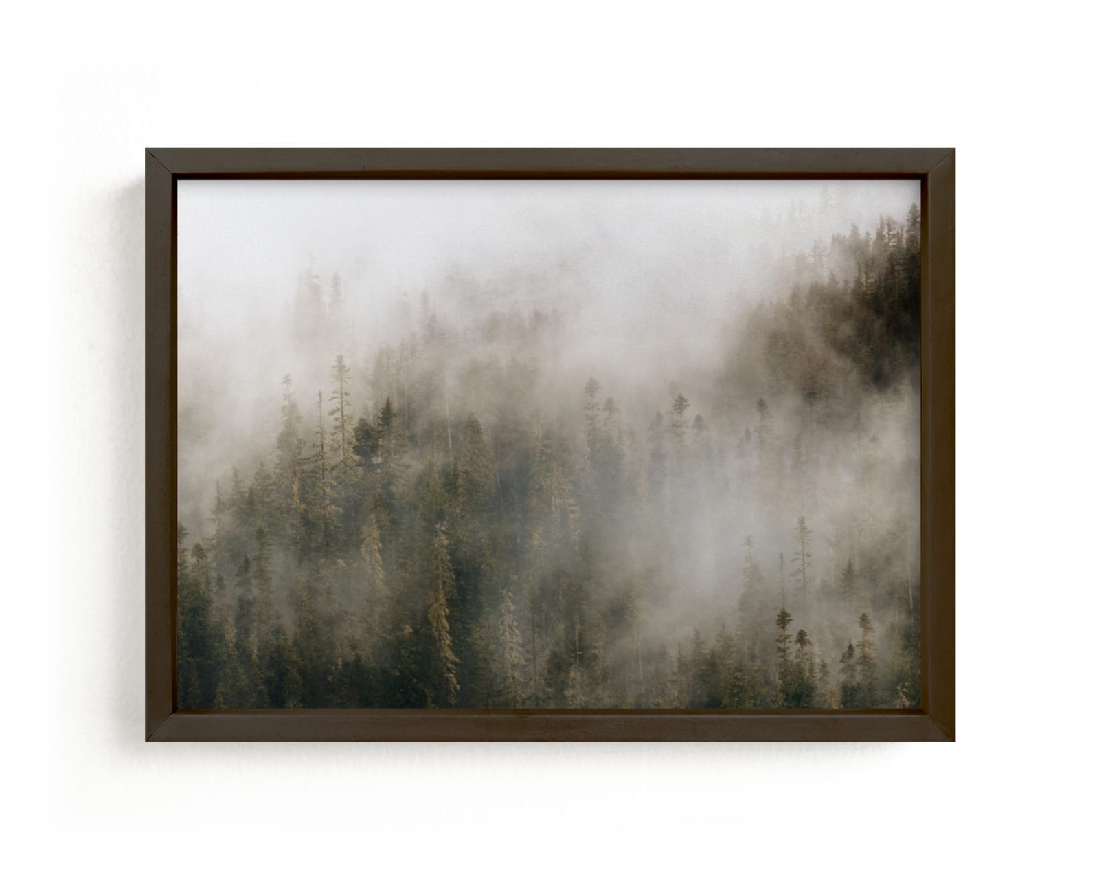 "Pacific North Fog" - Limited Edition Art Print by Pockets of Film in beautiful frame options and a variety of sizes.