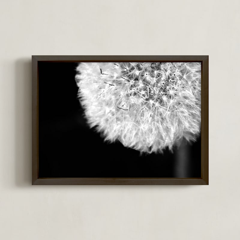 Dandelion Defined