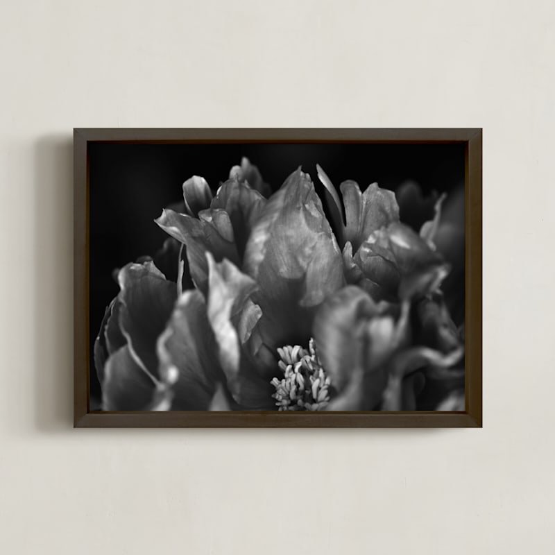 Peony #1