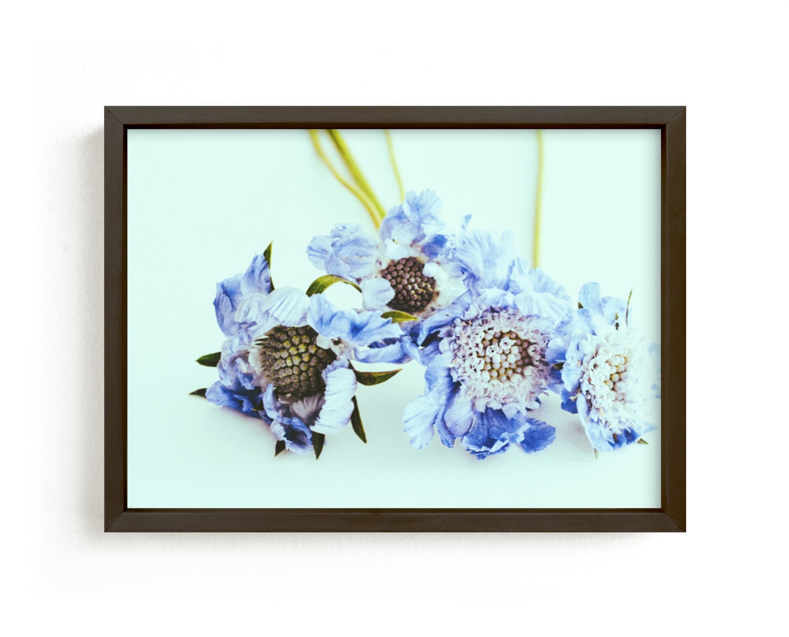 "tangible" - Art Print by Morgan Kendall in beautiful frame options and a variety of sizes.