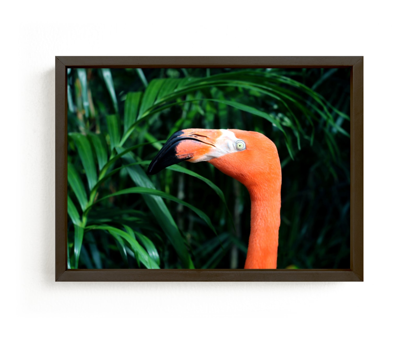 "Flamingo Go" - Art Print by Janelle Wourms in beautiful frame options and a variety of sizes.